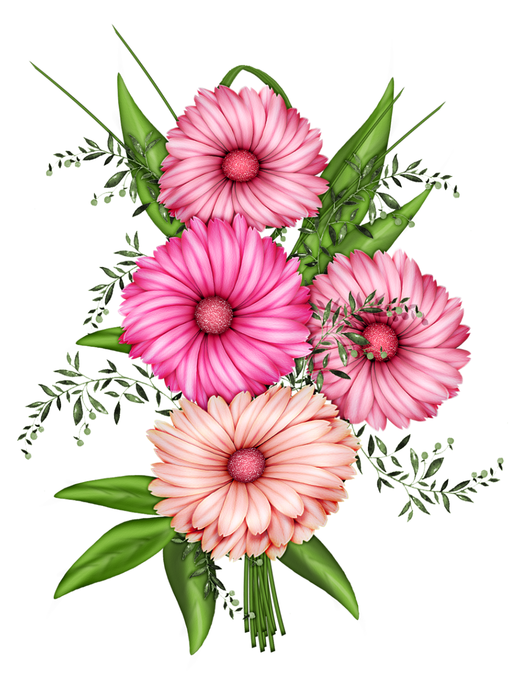 flower clip art transparent - photo #29