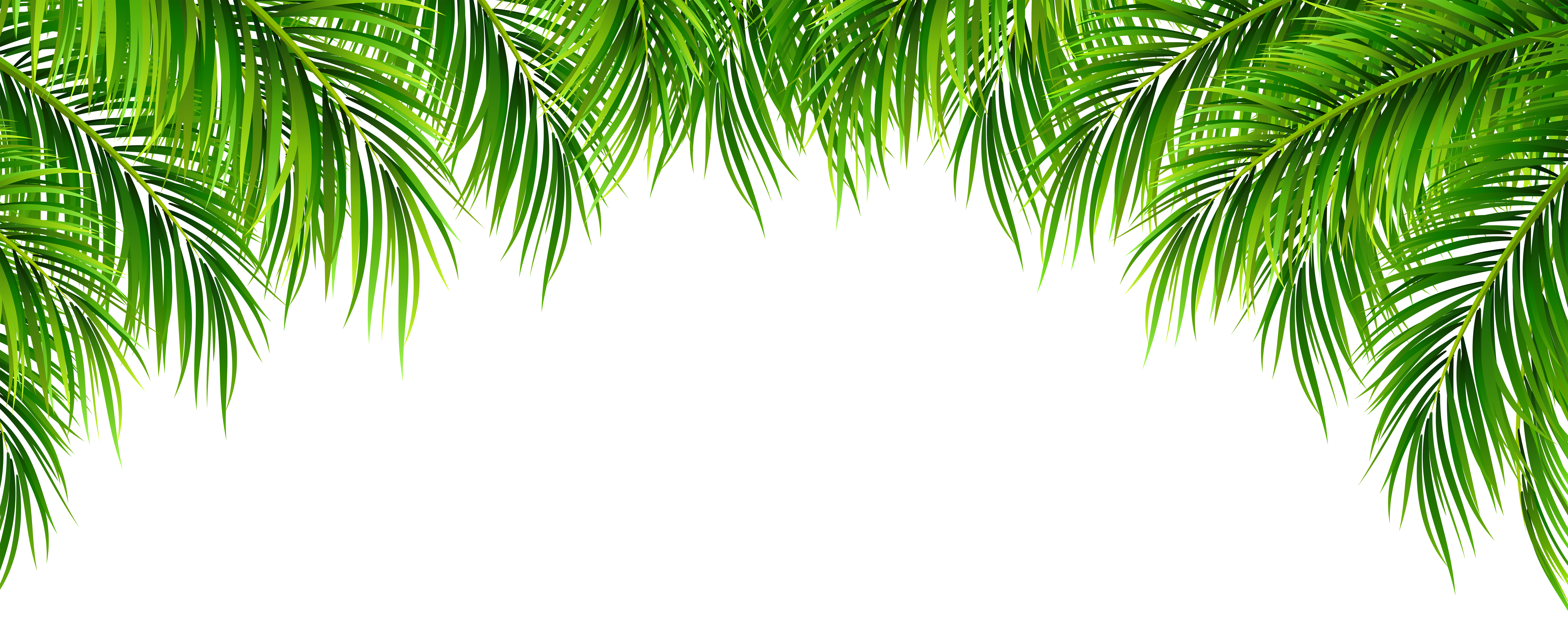 free clipart of palm leaves - photo #44