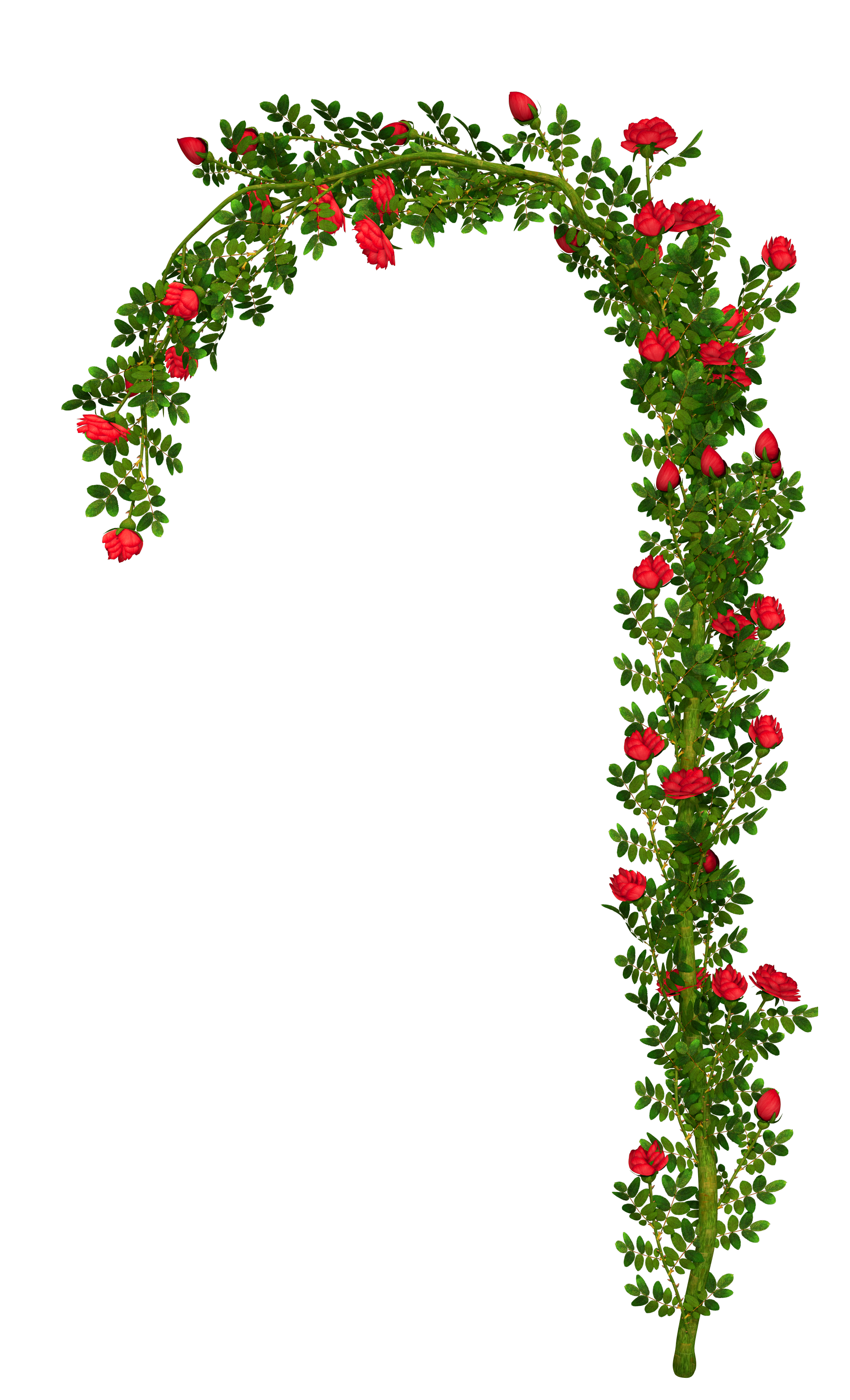 Rosebush Arch Element PNG Clipart Picture | Gallery Yopriceville - High