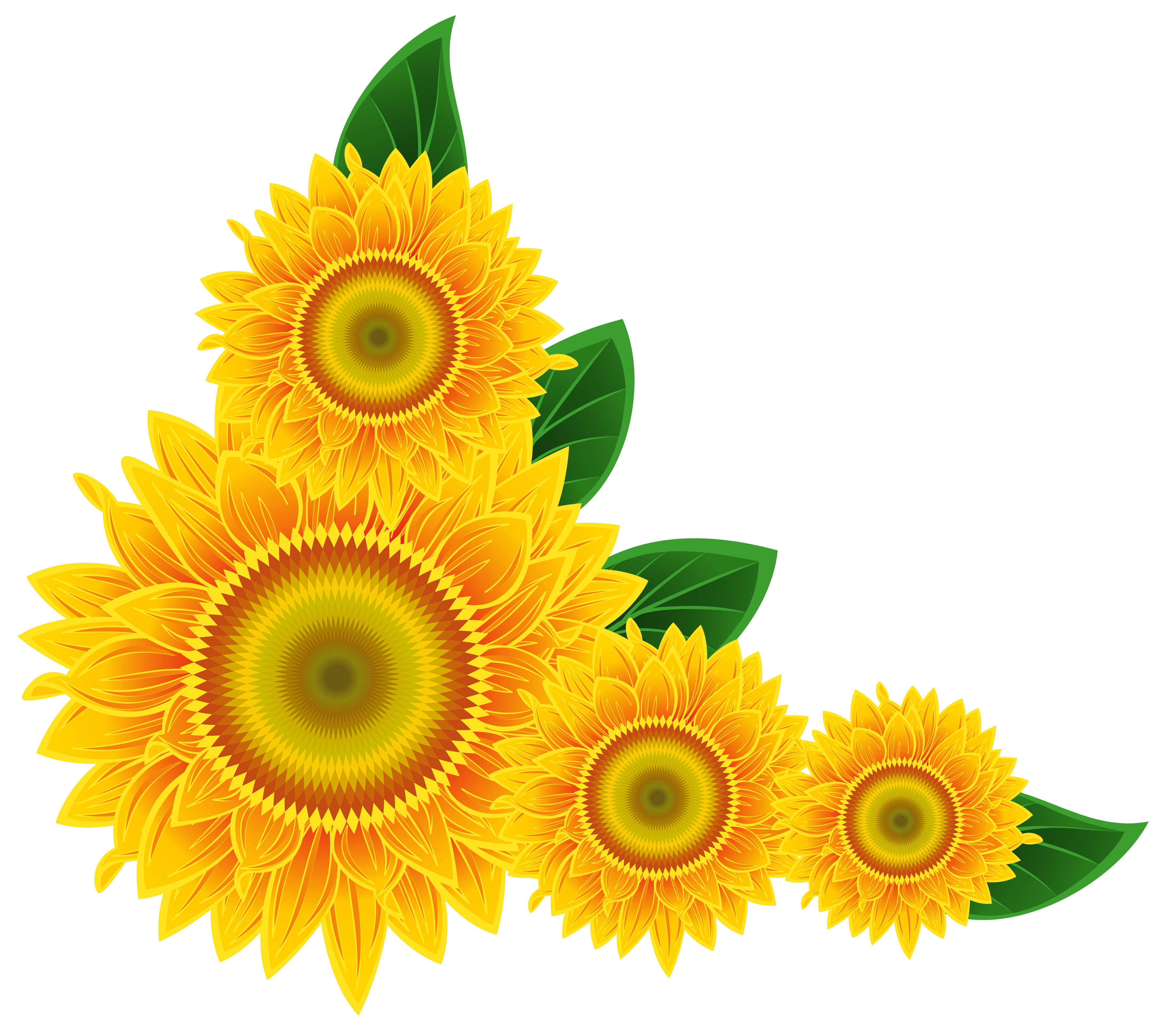 clip art borders sunflowers - photo #25