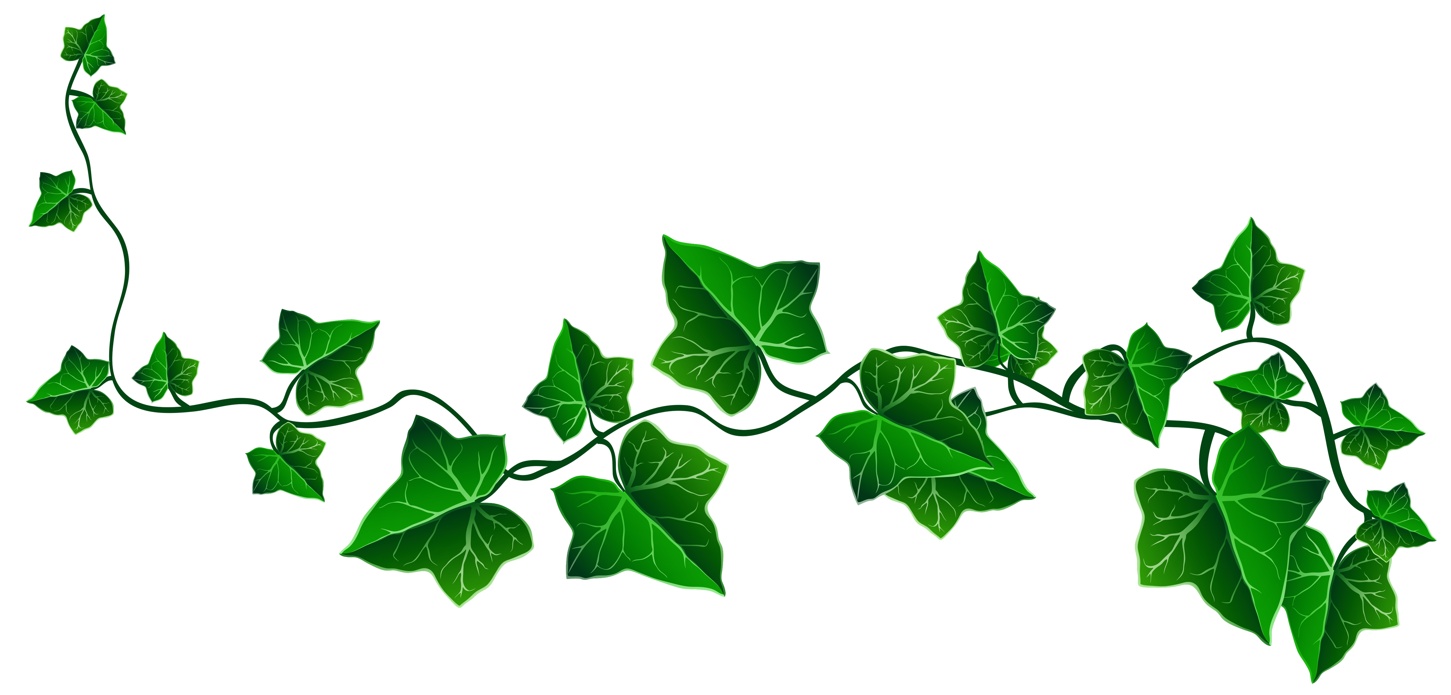 free clip art leaf vines - photo #47