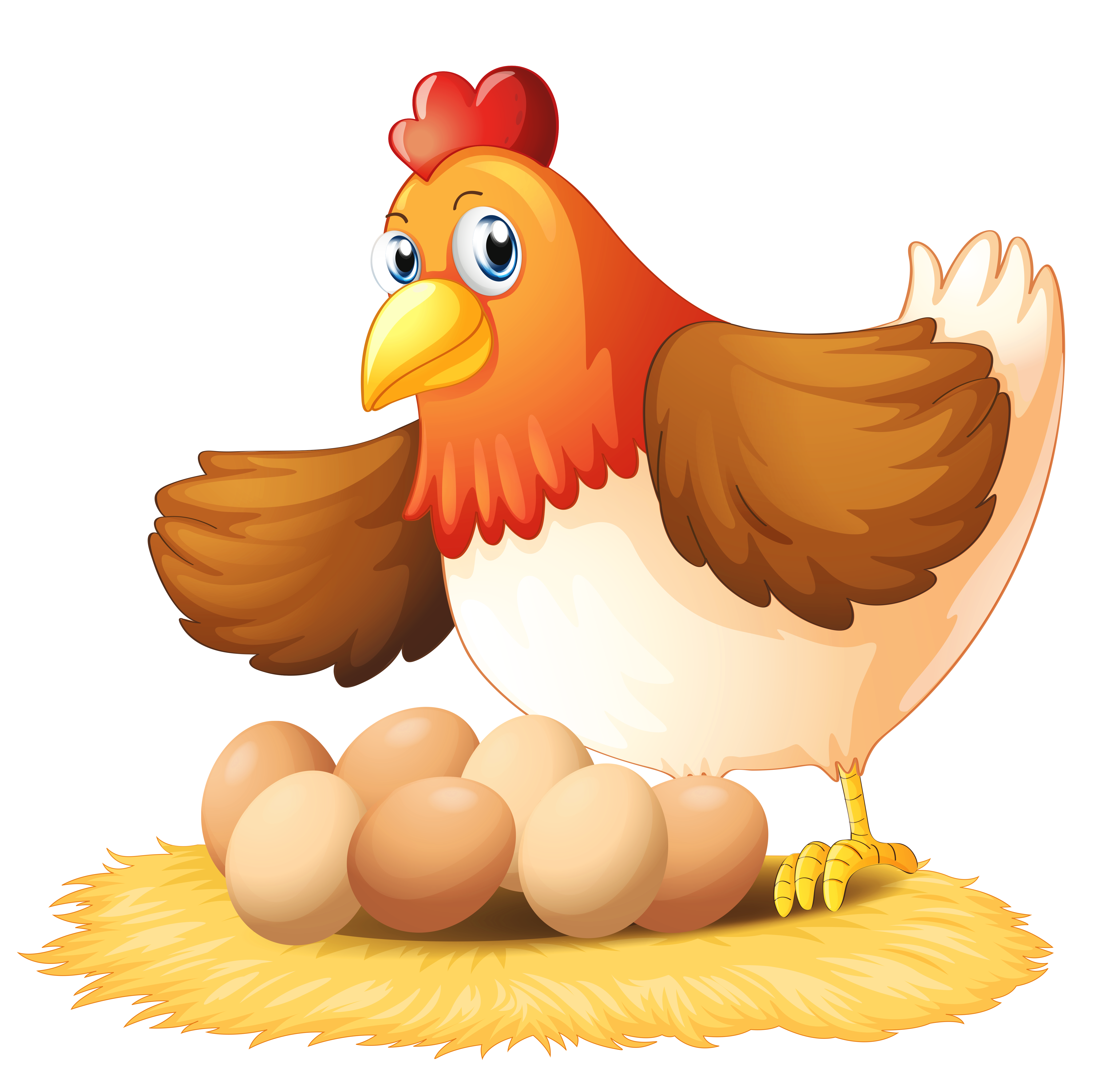 free clipart chicken and eggs - photo #41
