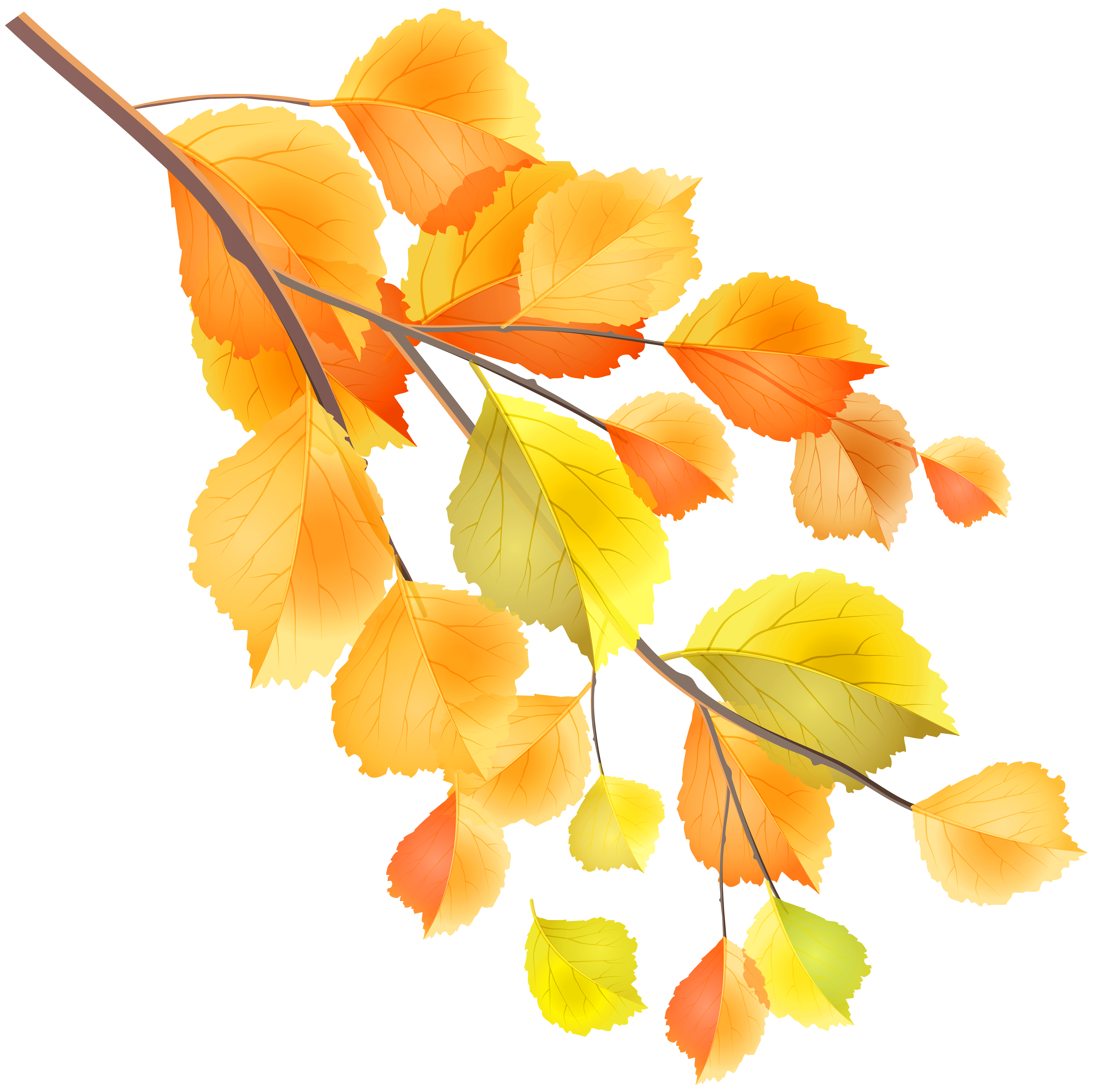 Autumn Branch PNG Clip Art Image | Gallery Yopriceville - High-Quality