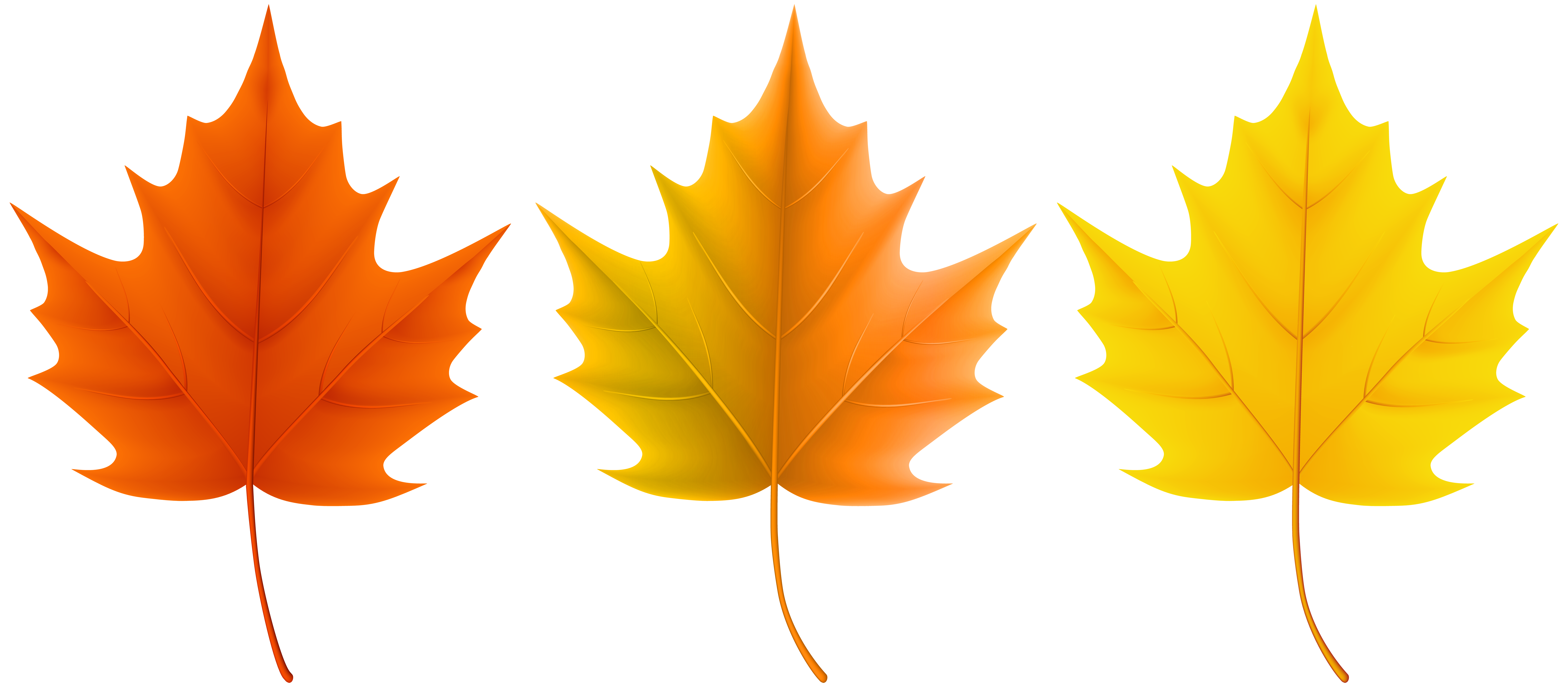 Autumn Leaves Set PNG Clip Art Image | Gallery ...