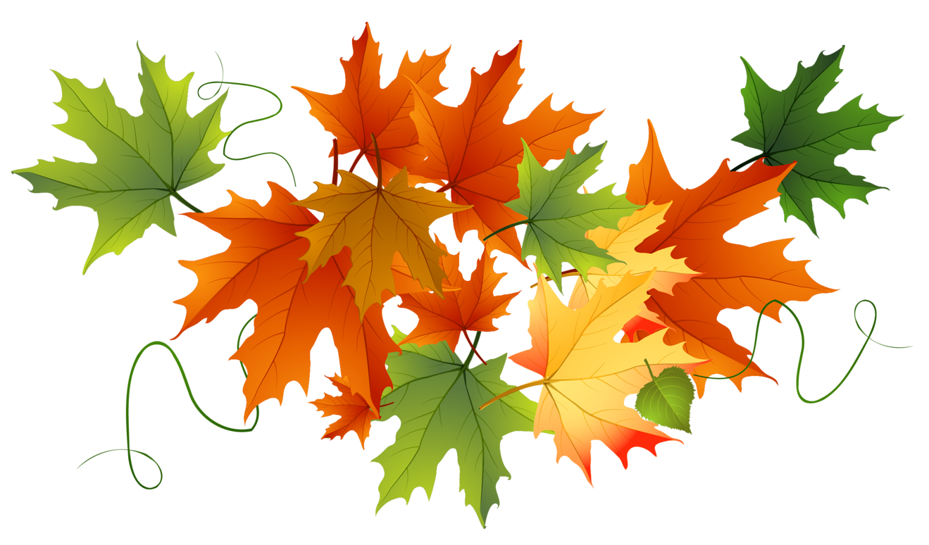15+ Fall leaves clipart transparent background collection