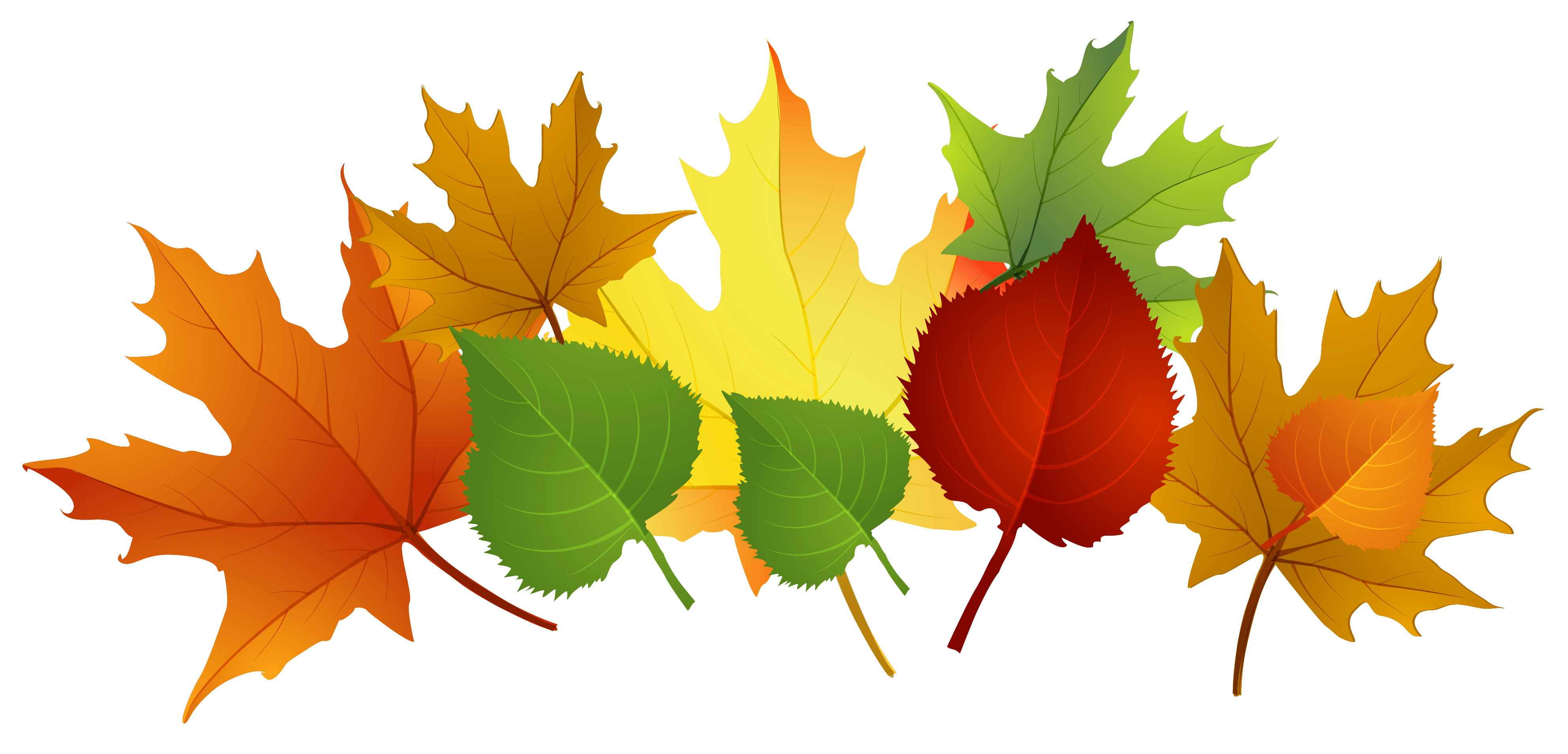 Fall Leaves PNG Clipart | Gallery Yopriceville - High-Quality Images