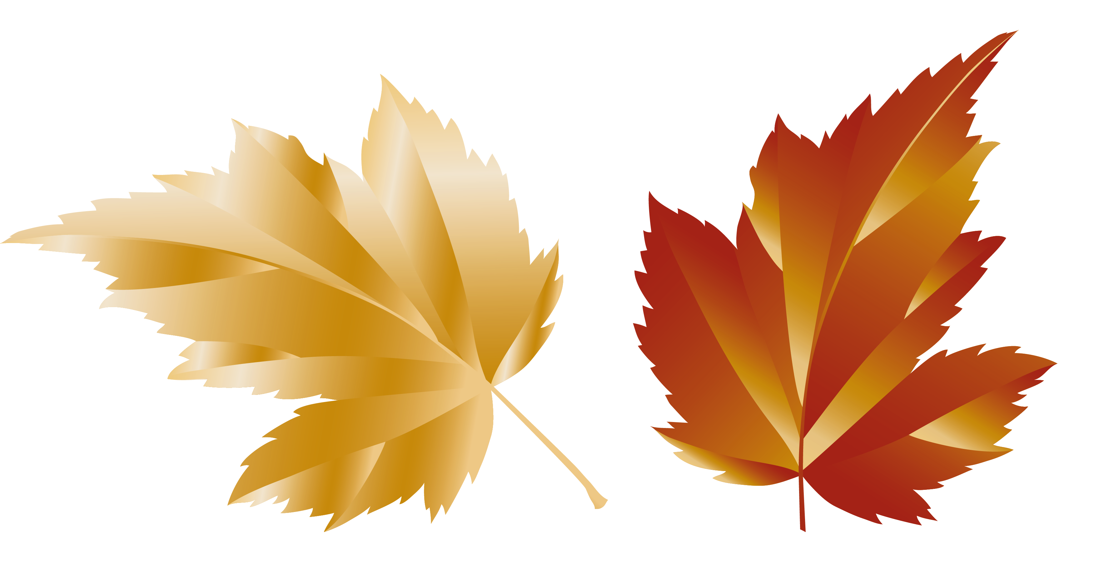 Fall Transparent Leaf Picture | Gallery Yopriceville - High-Quality