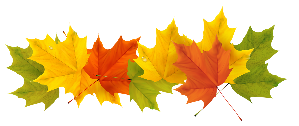 fall leaf clip art png - photo #30