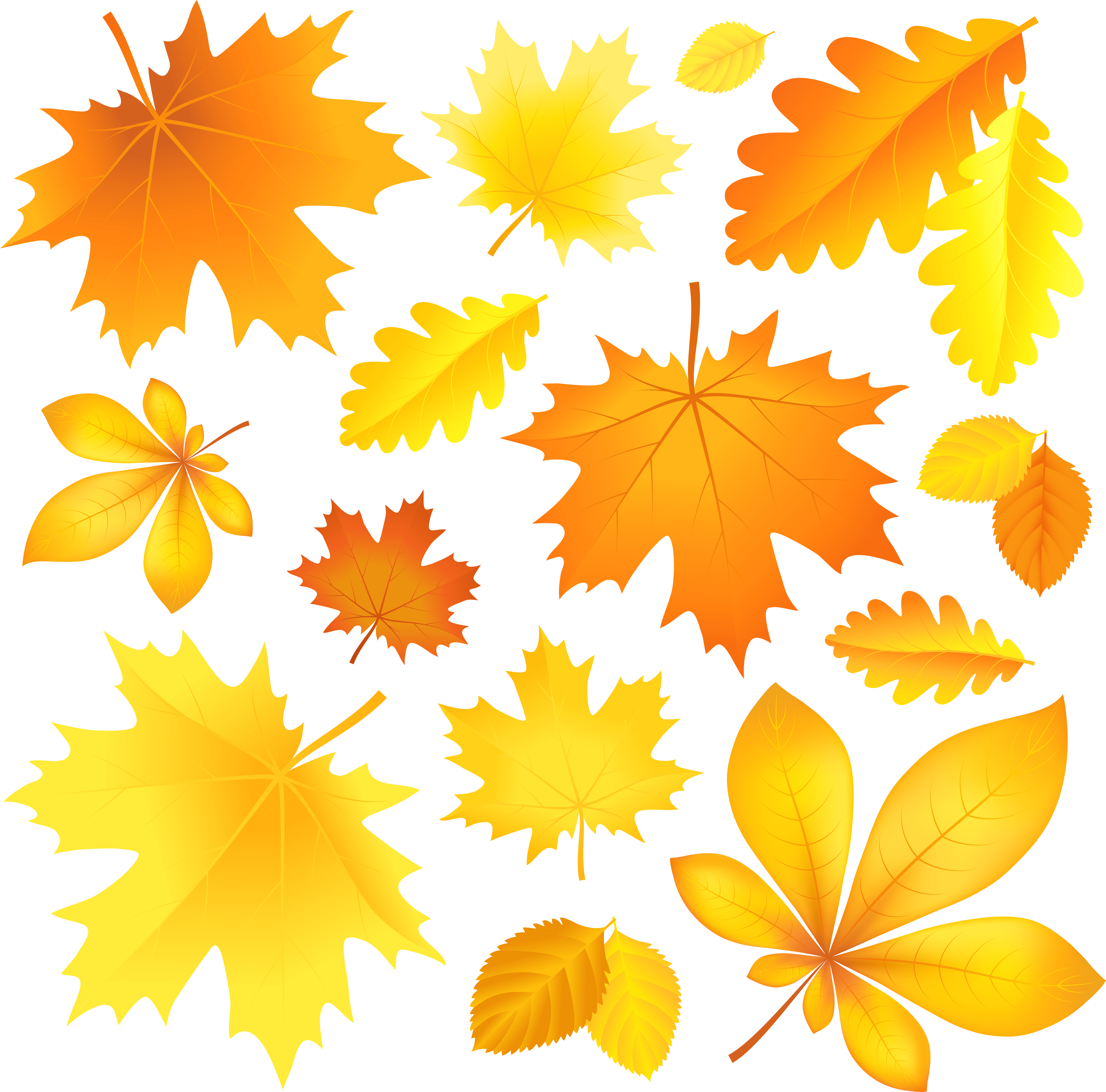 Transparent Fall Leaves Picture | Gallery Yopriceville - High-Quality