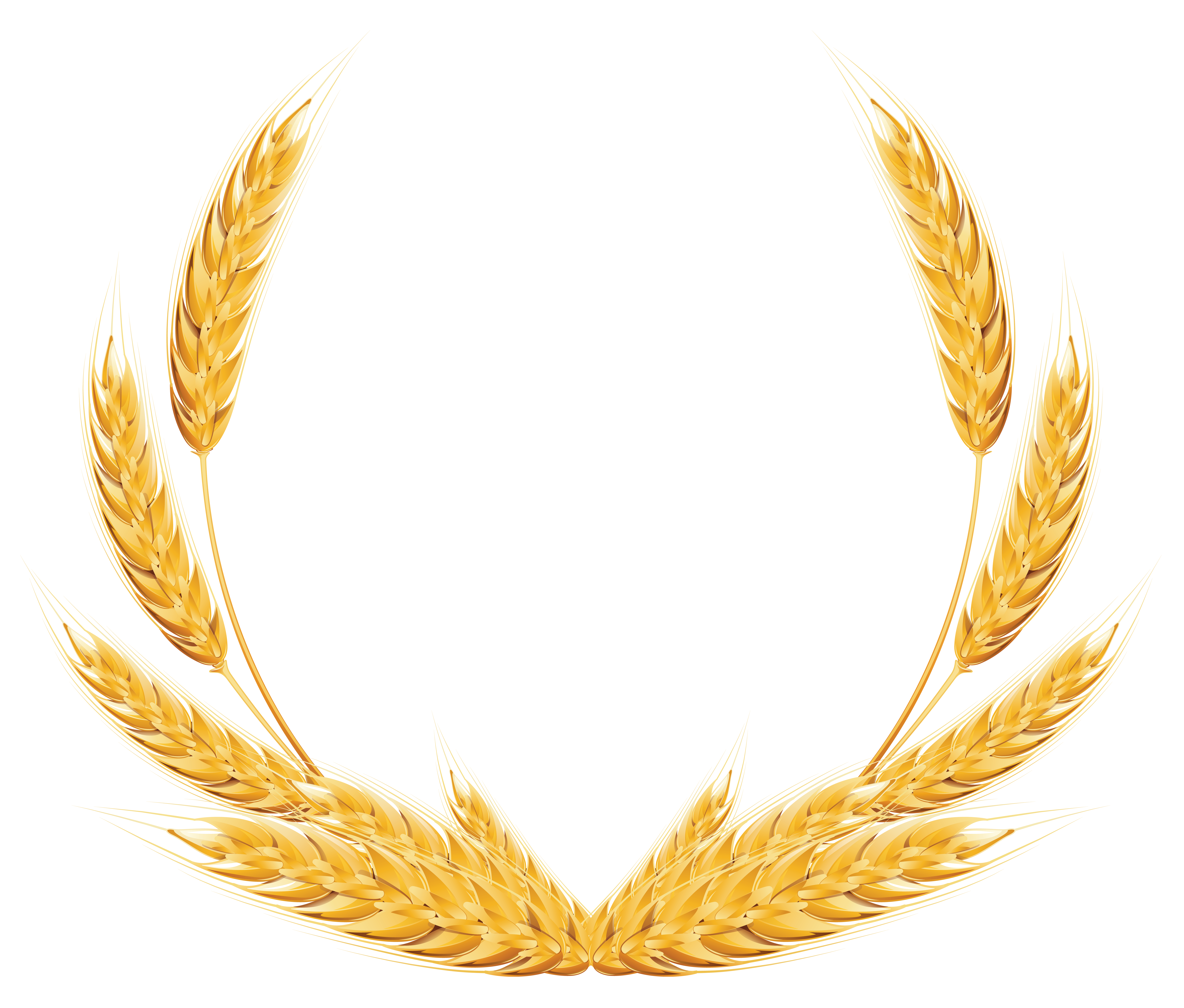 clipart of wheat - photo #24