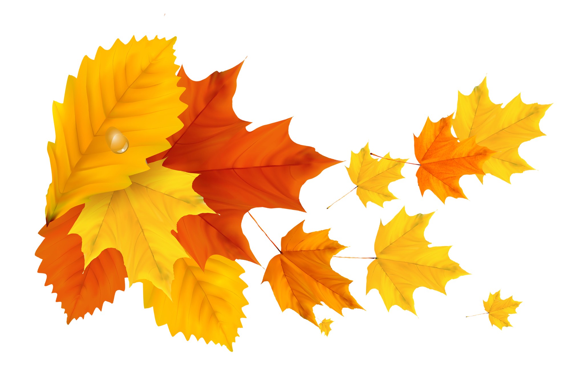 Yellow Orange Fall Leafs PNG Clipart Picture | Gallery Yopriceville