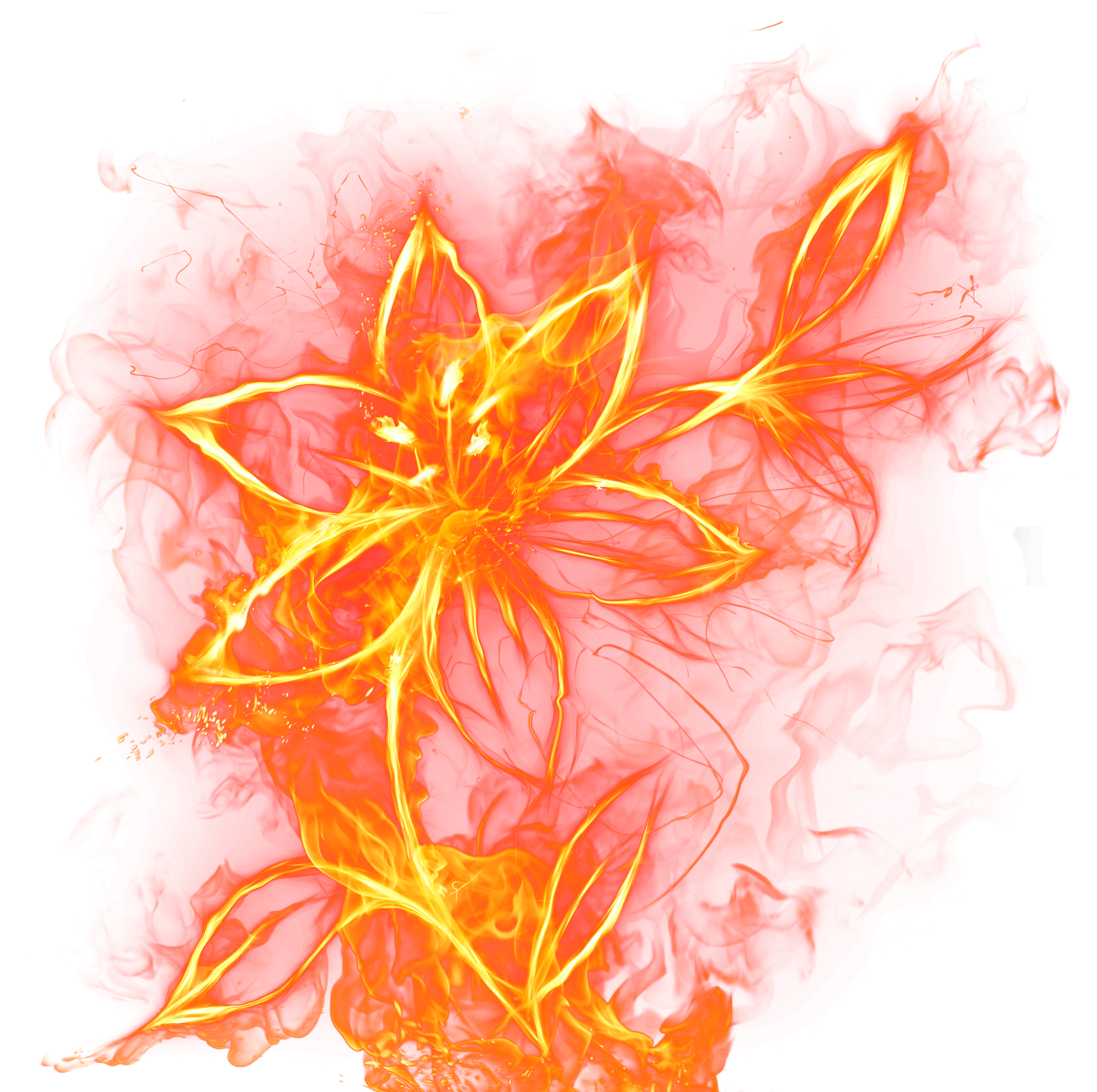 Beautiful Fire Flower PNG Clipart Picture | Gallery ...