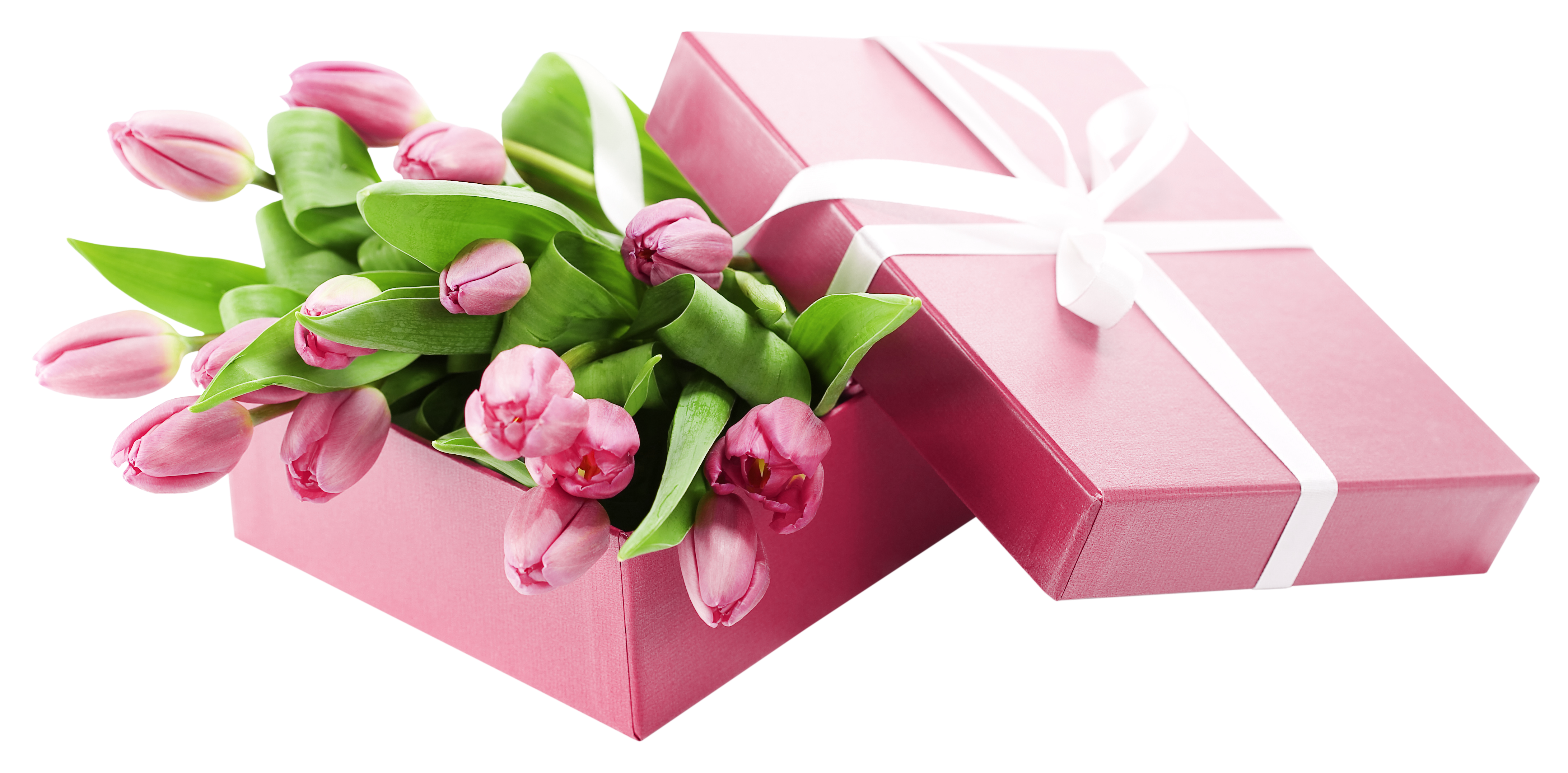 Box with Pink Tulips PNG Transparent Picture | Gallery Yopriceville