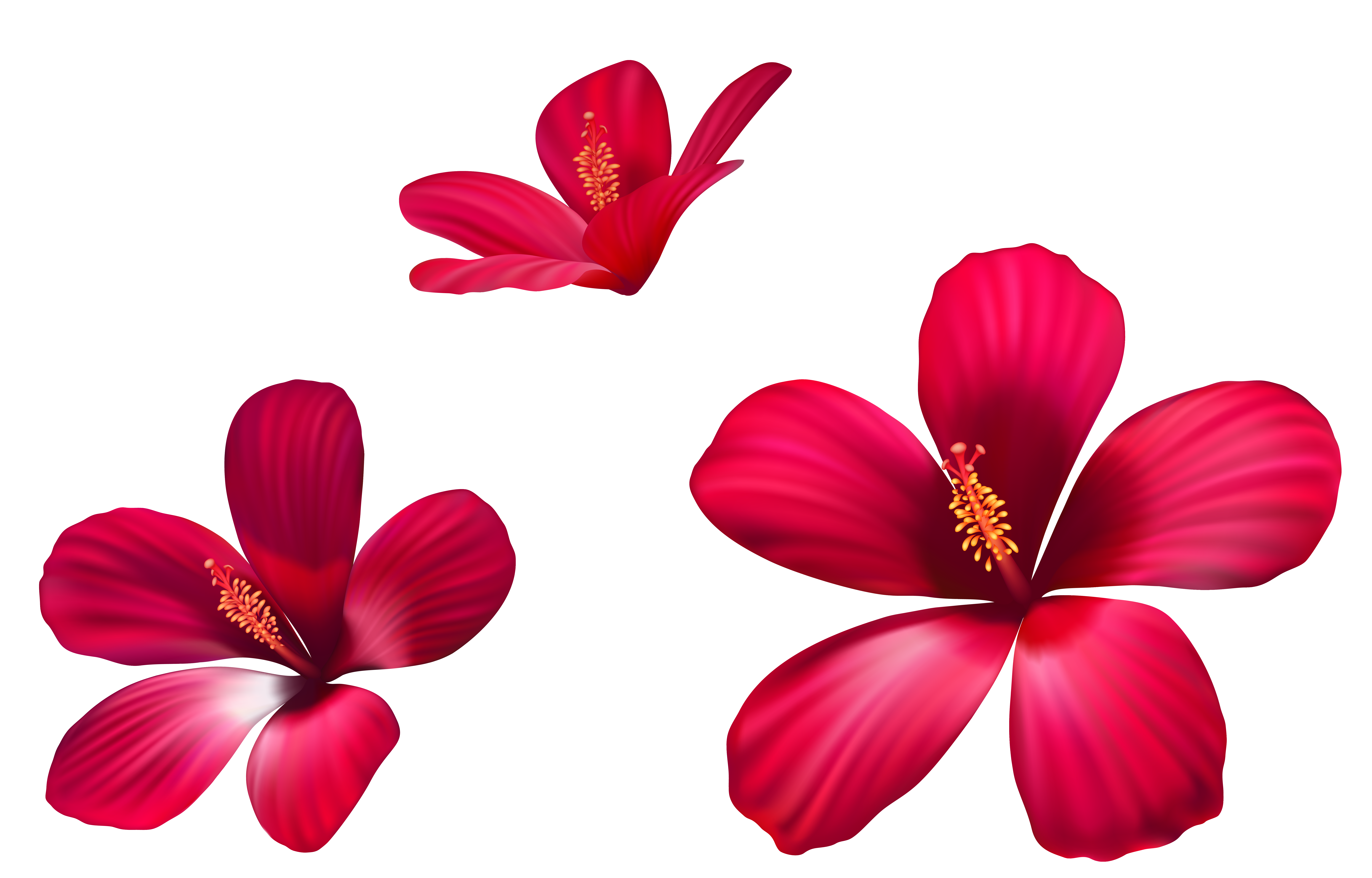 Exotic Pink Flowers Png Clipart Image Gallery Yopriceville View Full Size