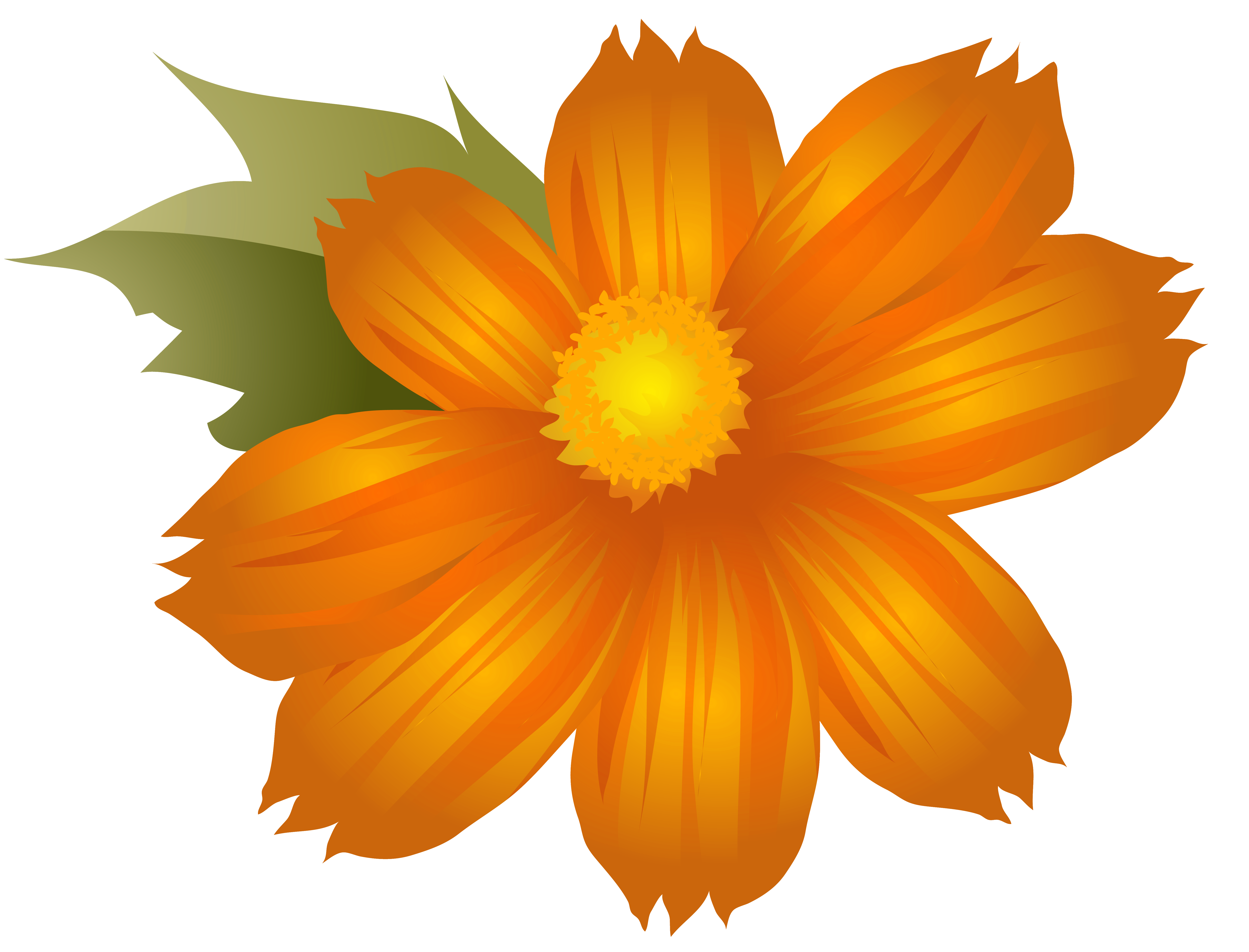 orange flower clip art free - photo #16