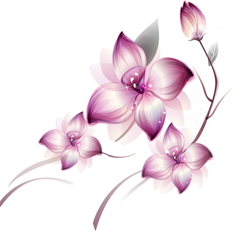 flower clipart with transparent background - photo #47
