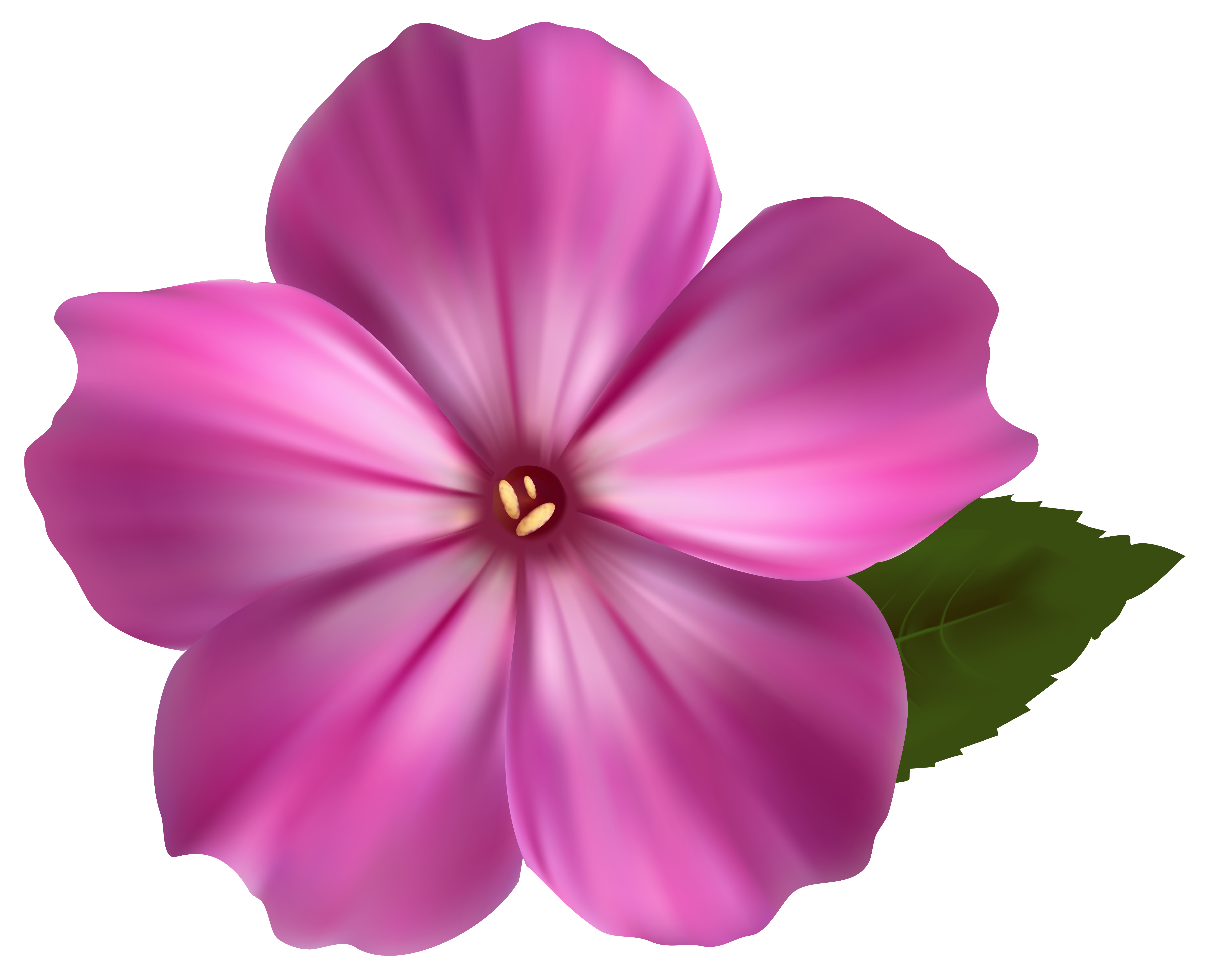 Pink Flower Png Clipart Image Gallery Yopriceville High View Full Size