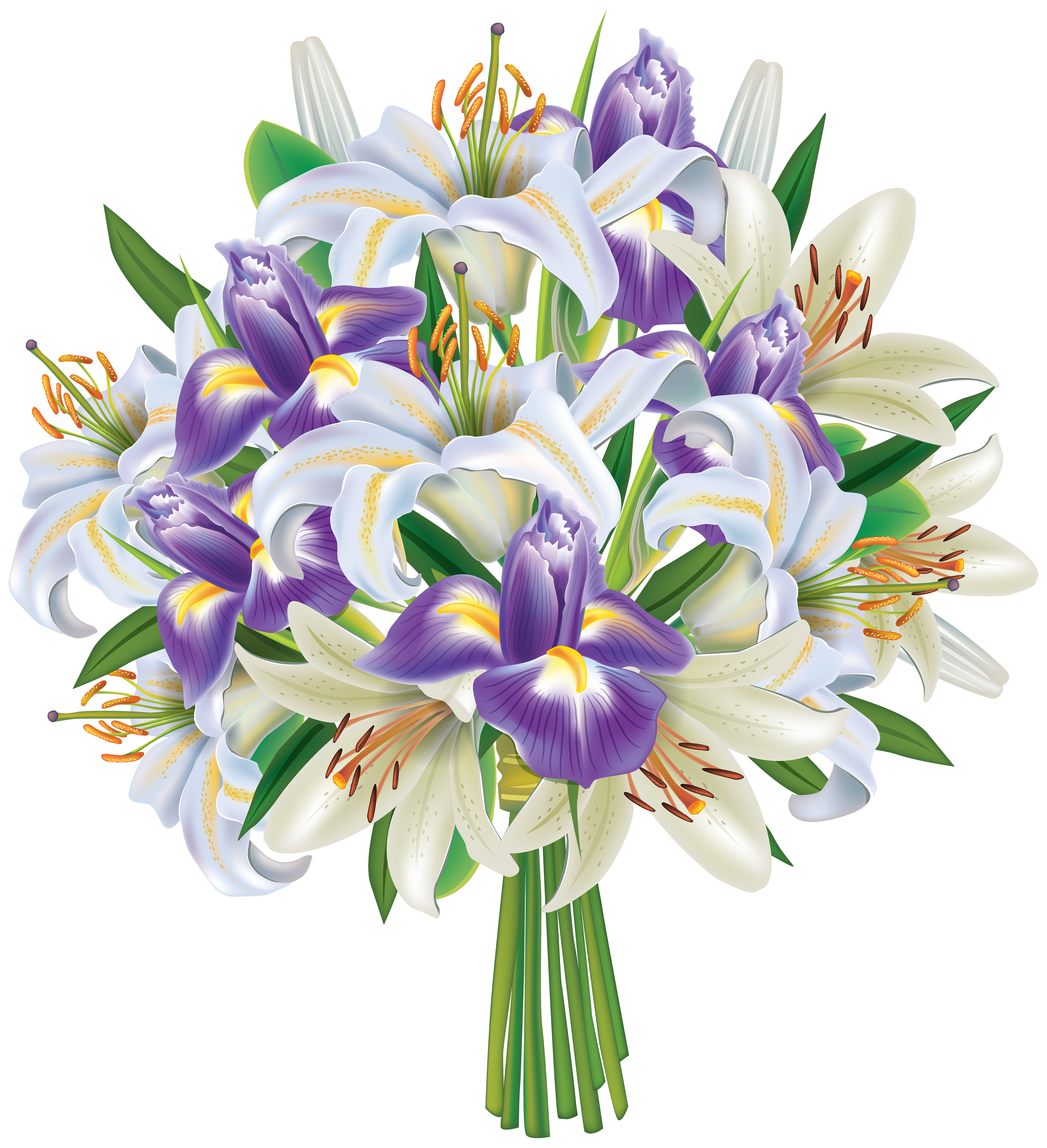 free iris flower clipart - photo #31