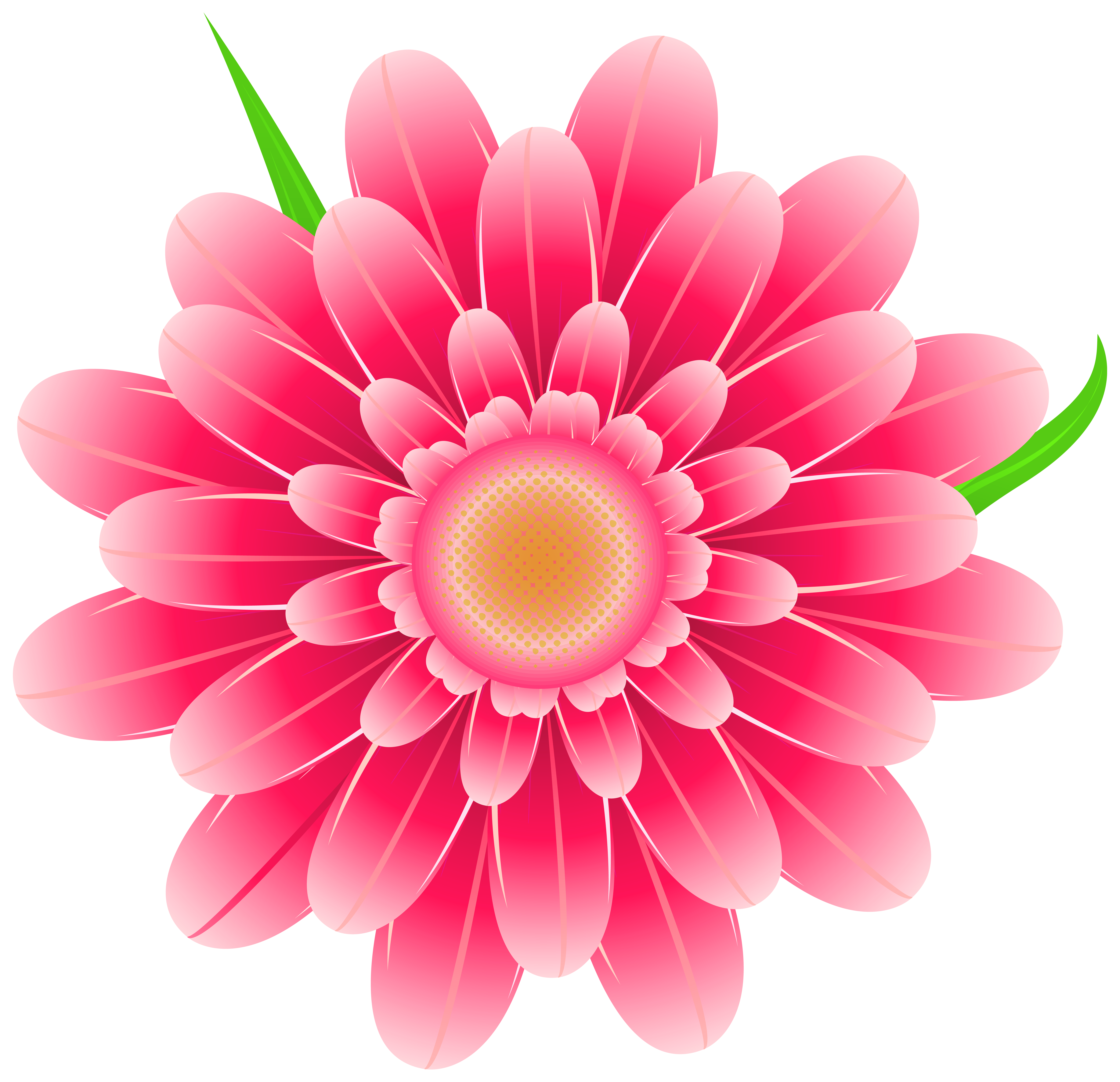 free flower clipart with transparent background - photo #18