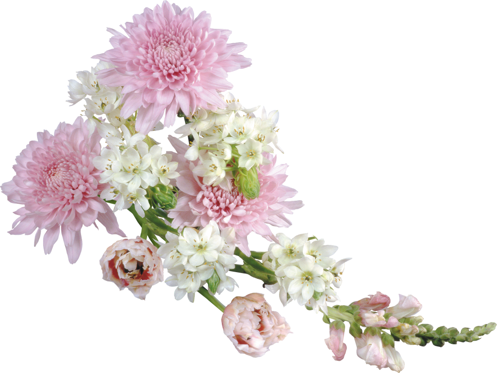 free flower clipart with transparent background - photo #34