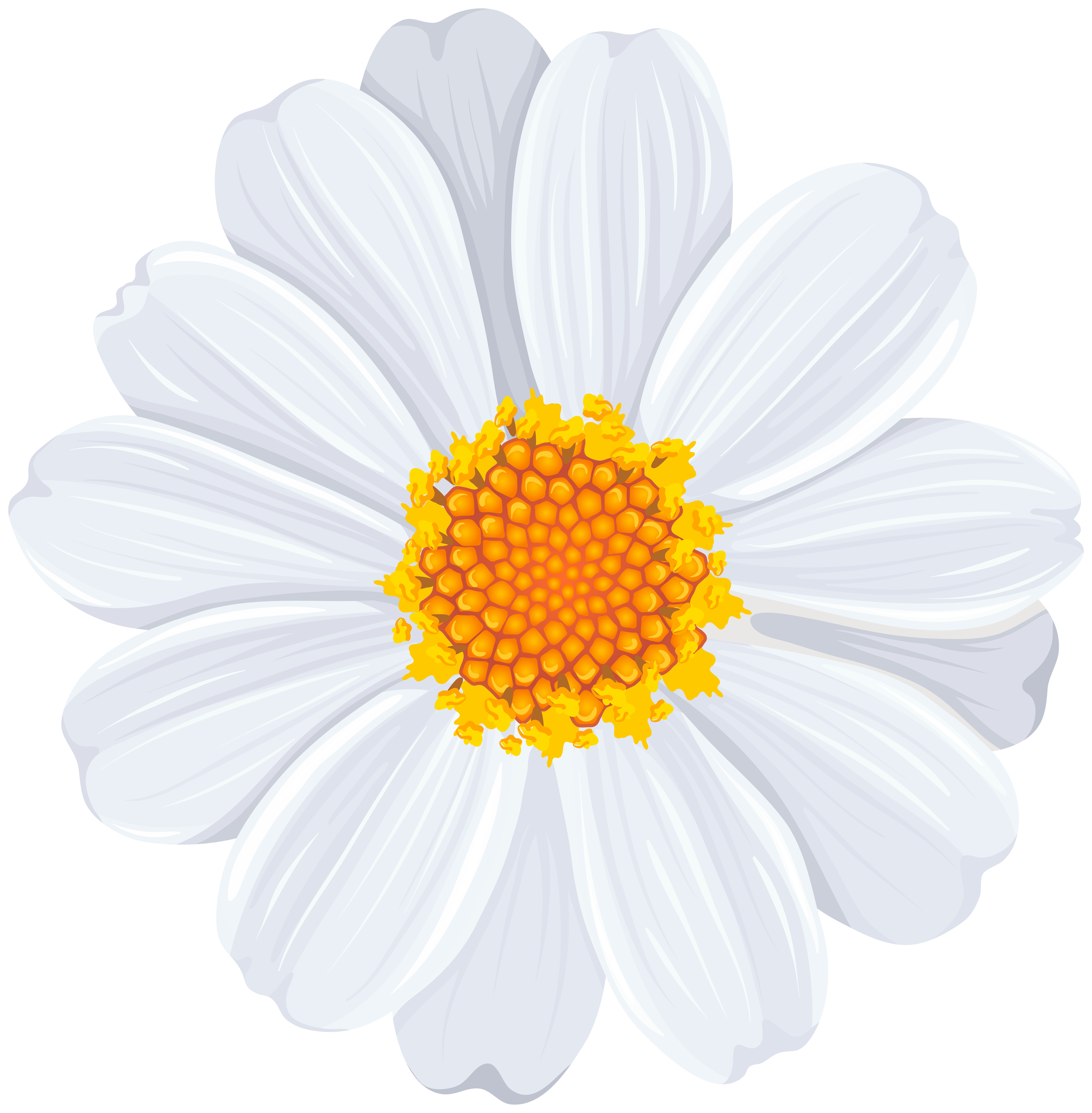 daisy clipart png - photo #23