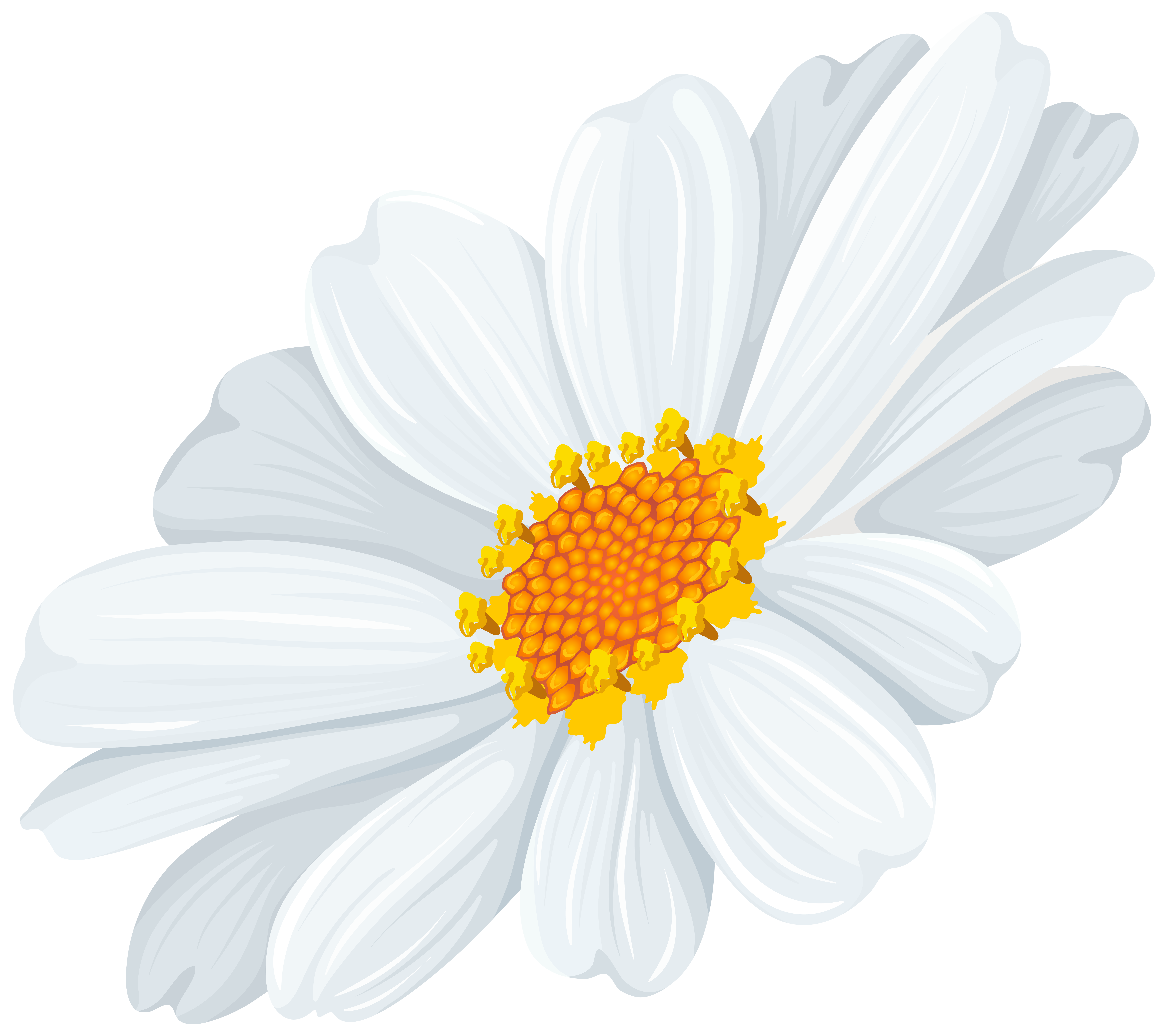 daisy clipart png - photo #45