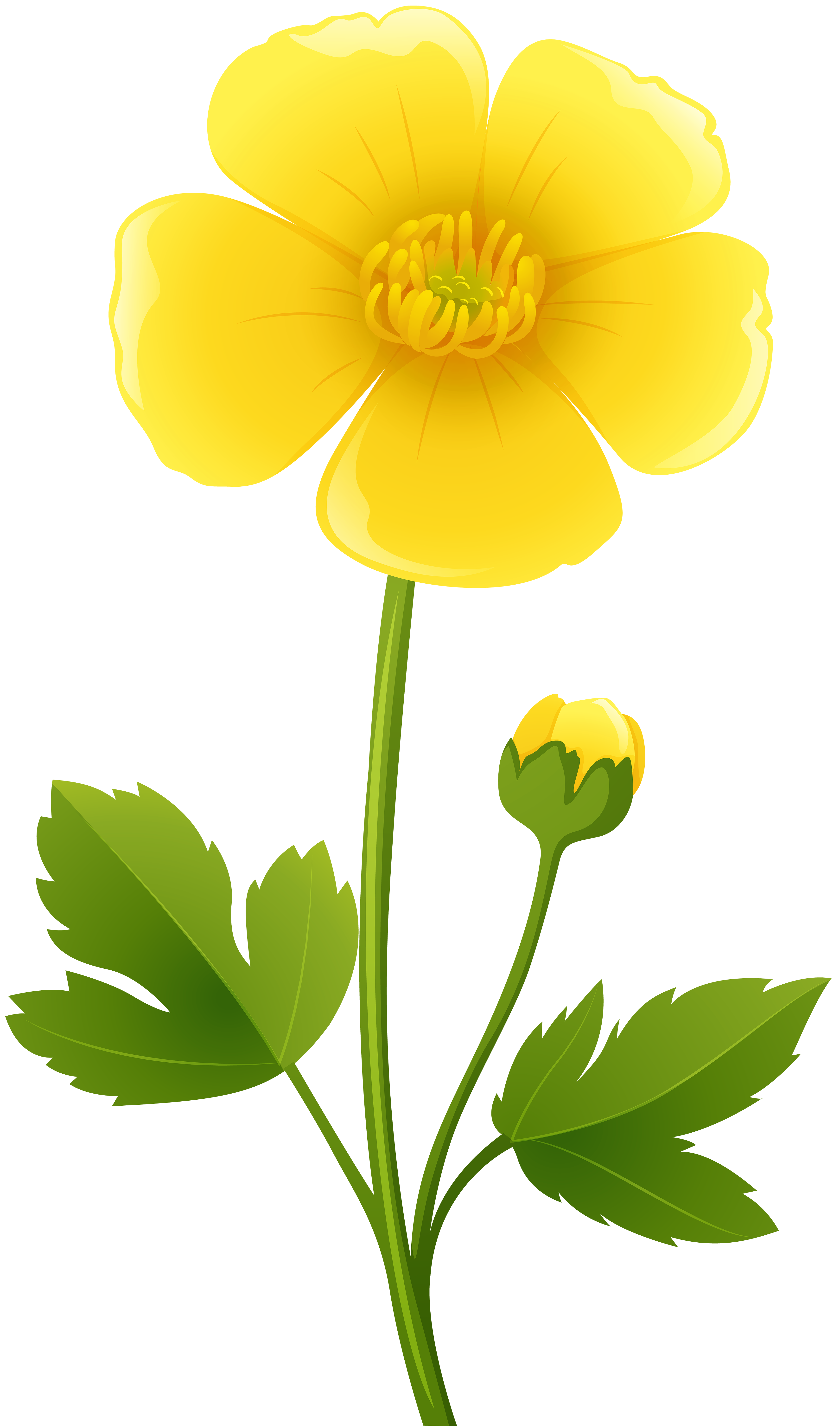 Yellow Flower Transparent PNG Clip Art Image | Gallery Yopriceville
