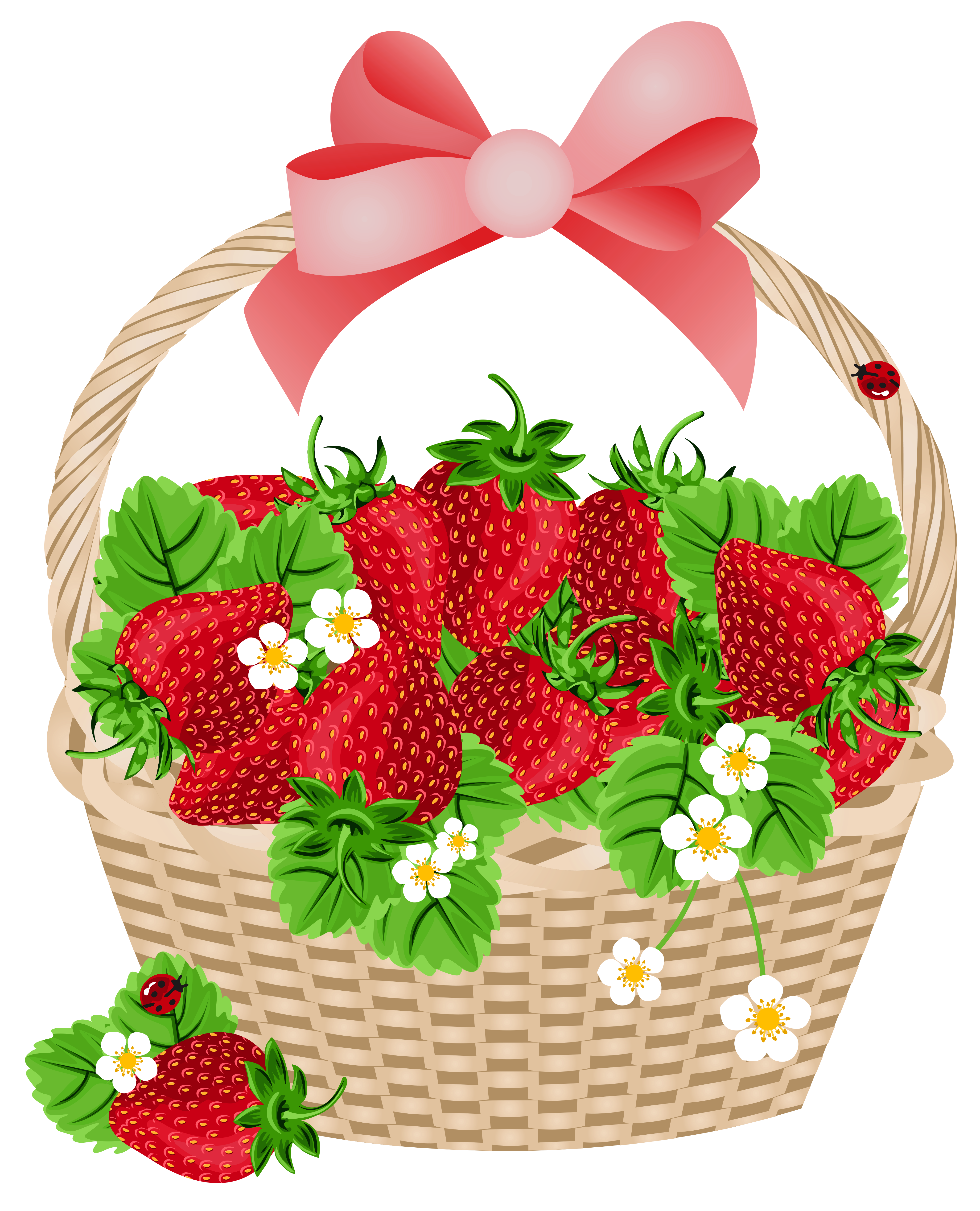 free fruit basket clipart - photo #31