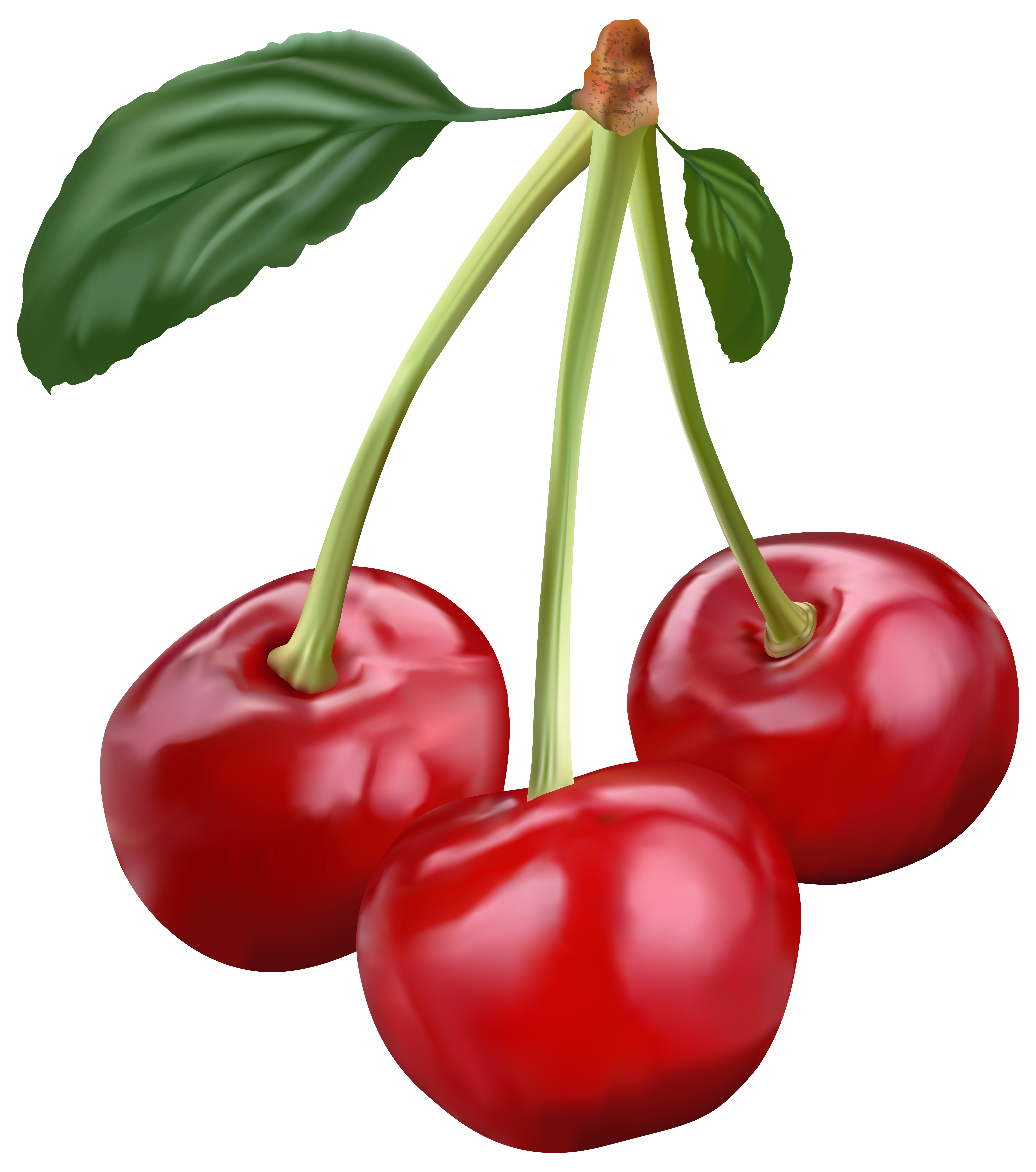 free clip art cherries fruit - photo #46