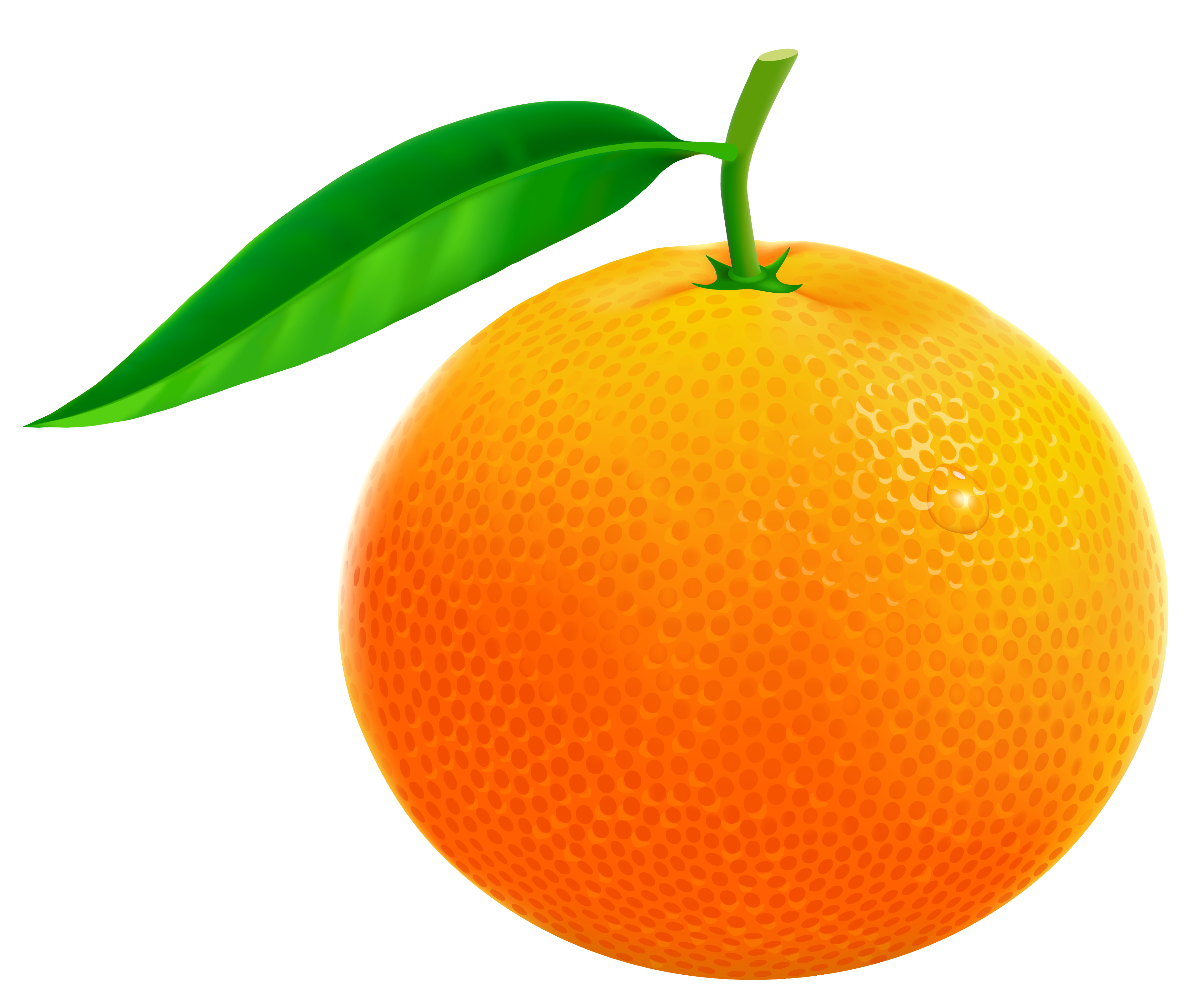 free clipart orange fruit - photo #10