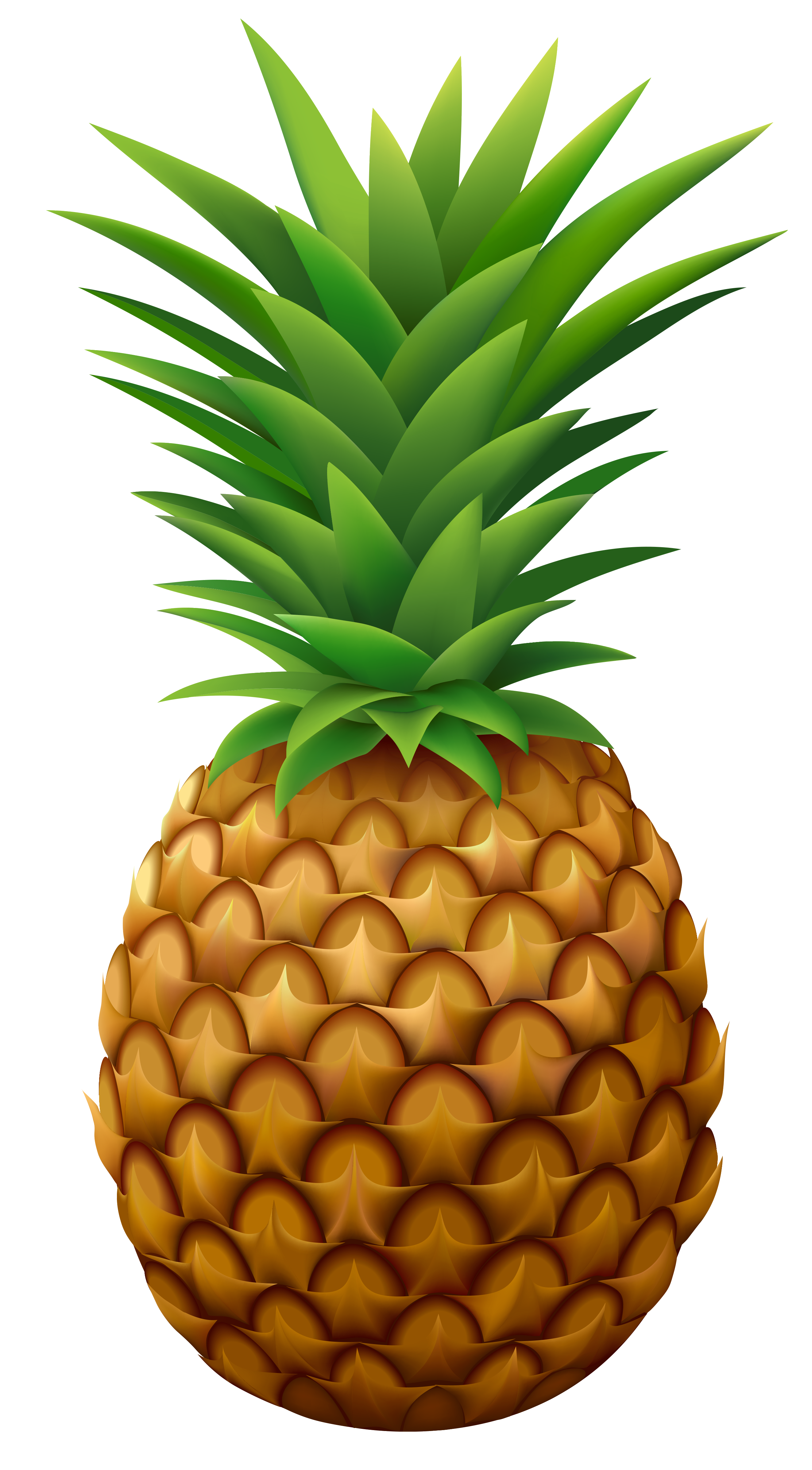 clipart images pineapples - photo #27