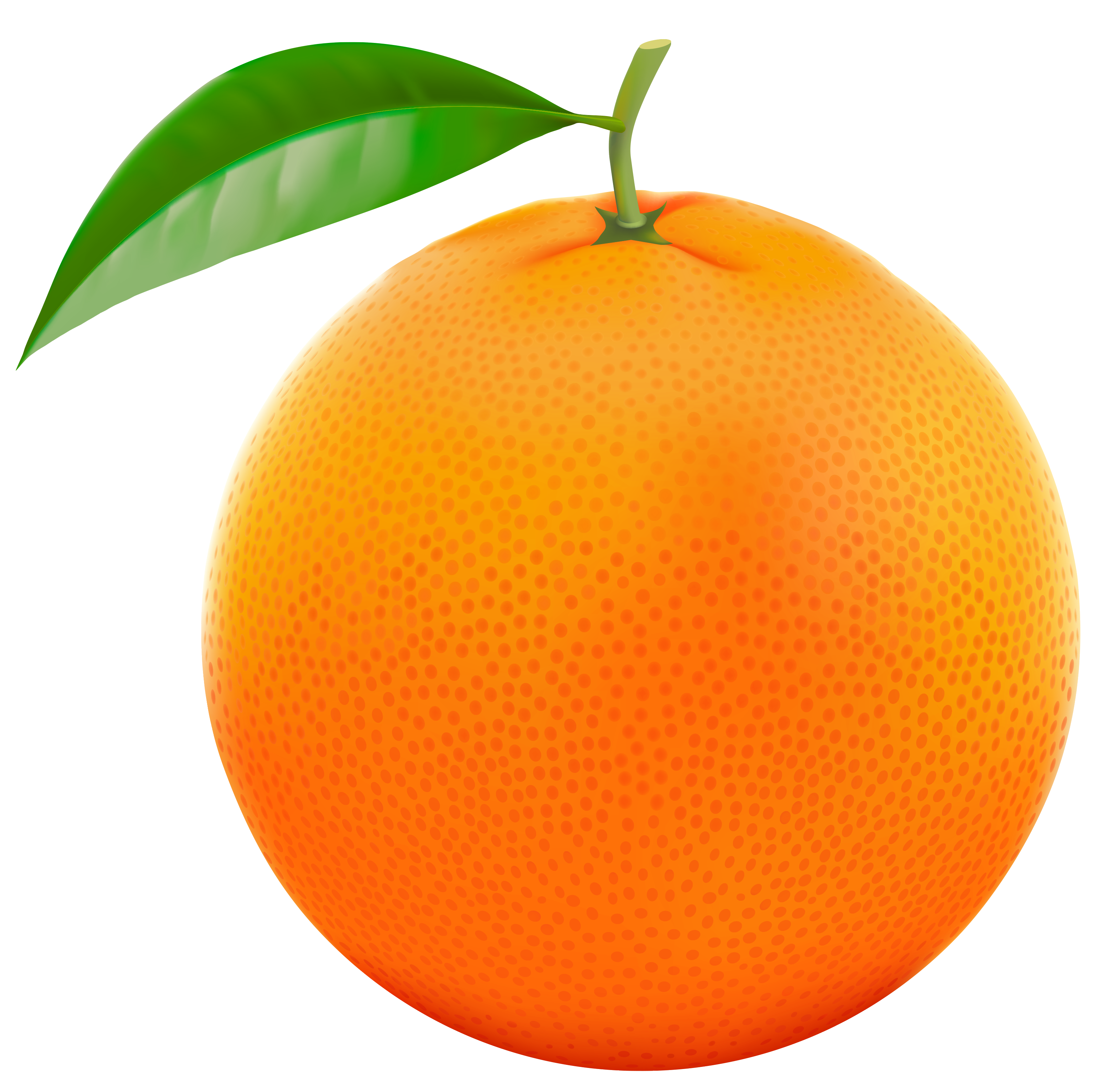 free clipart orange fruit - photo #8