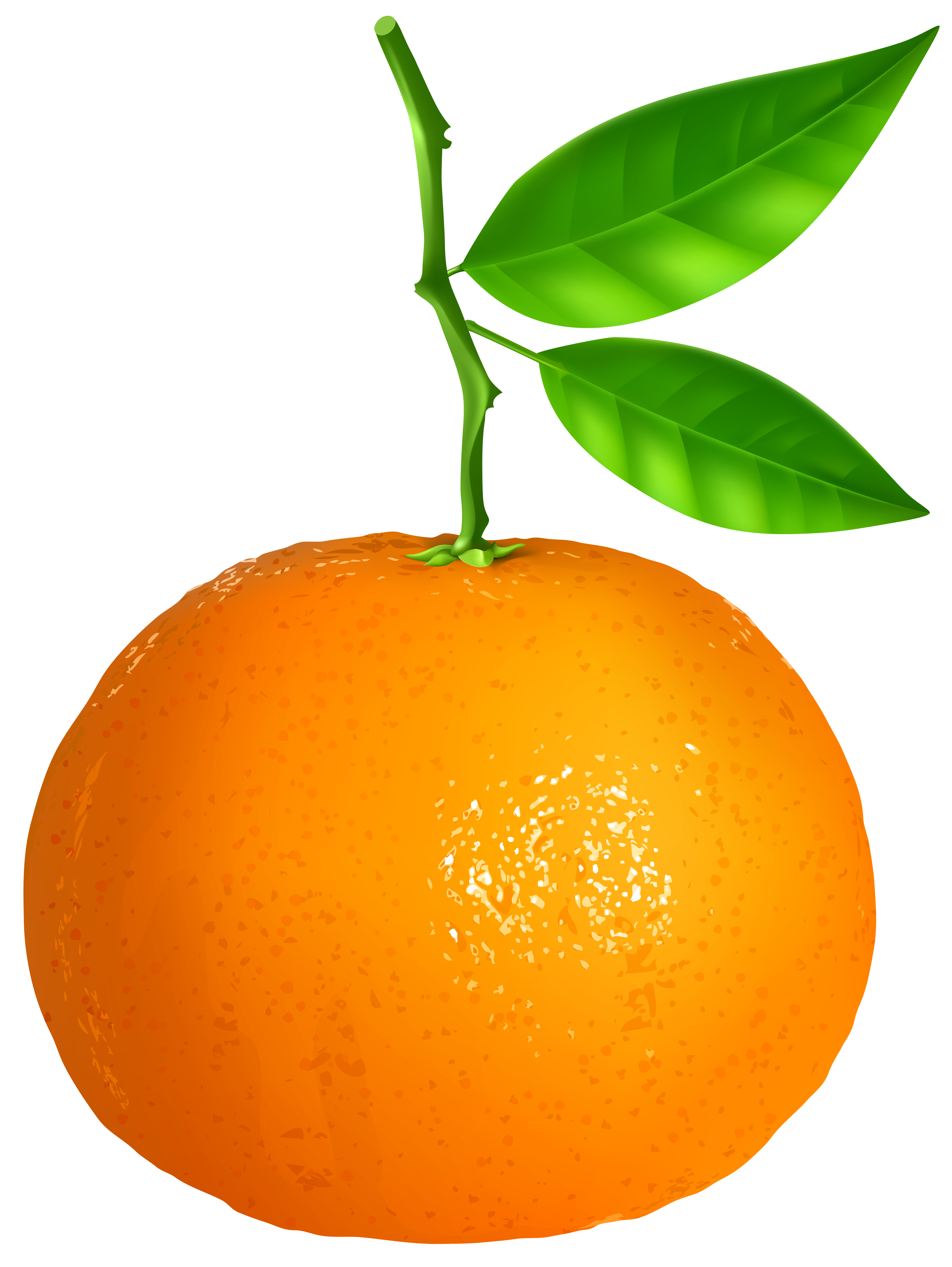 Tangerine Transparent PNG Clip Art Image | Gallery ...