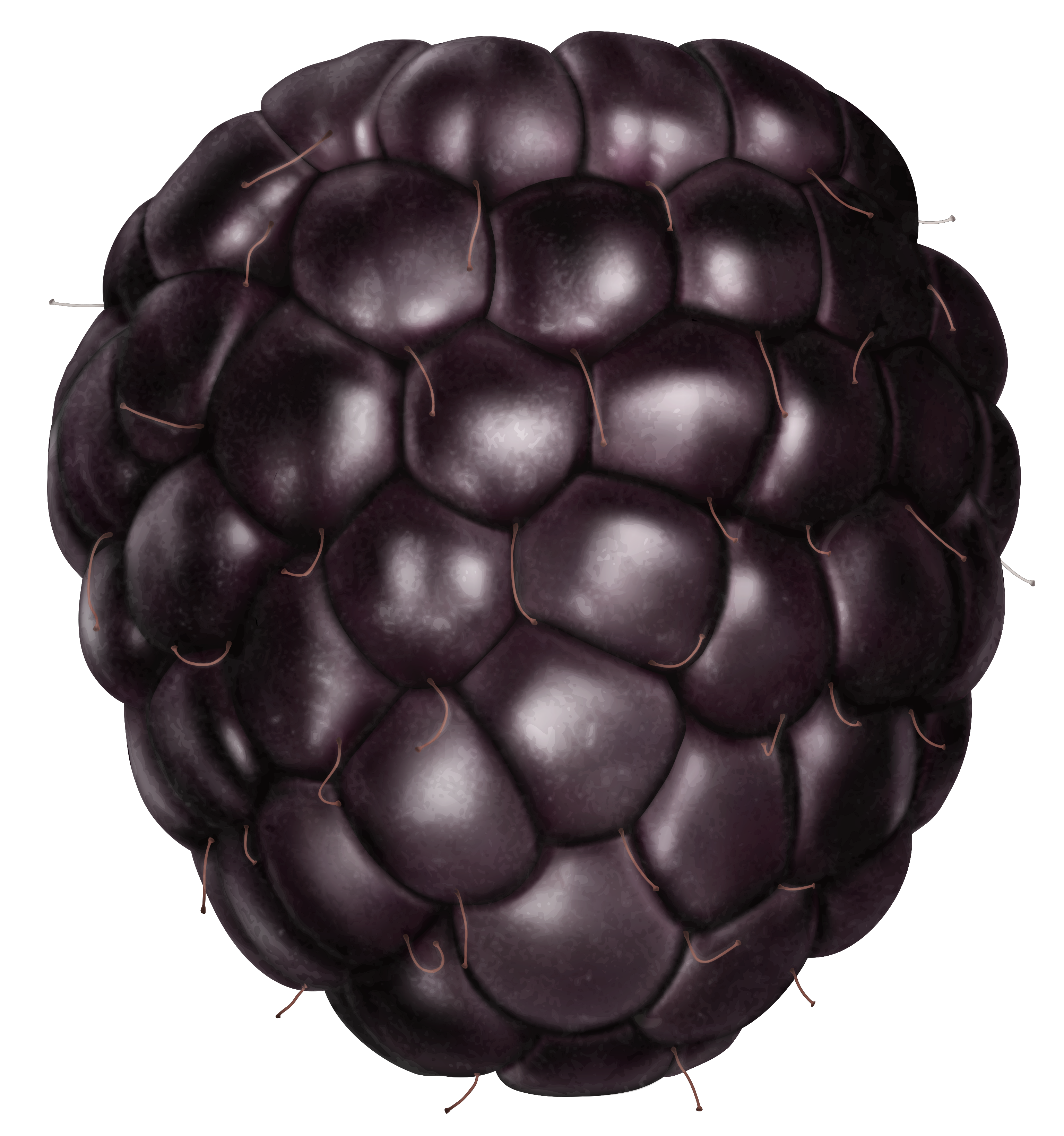 download clipart for blackberry - photo #23