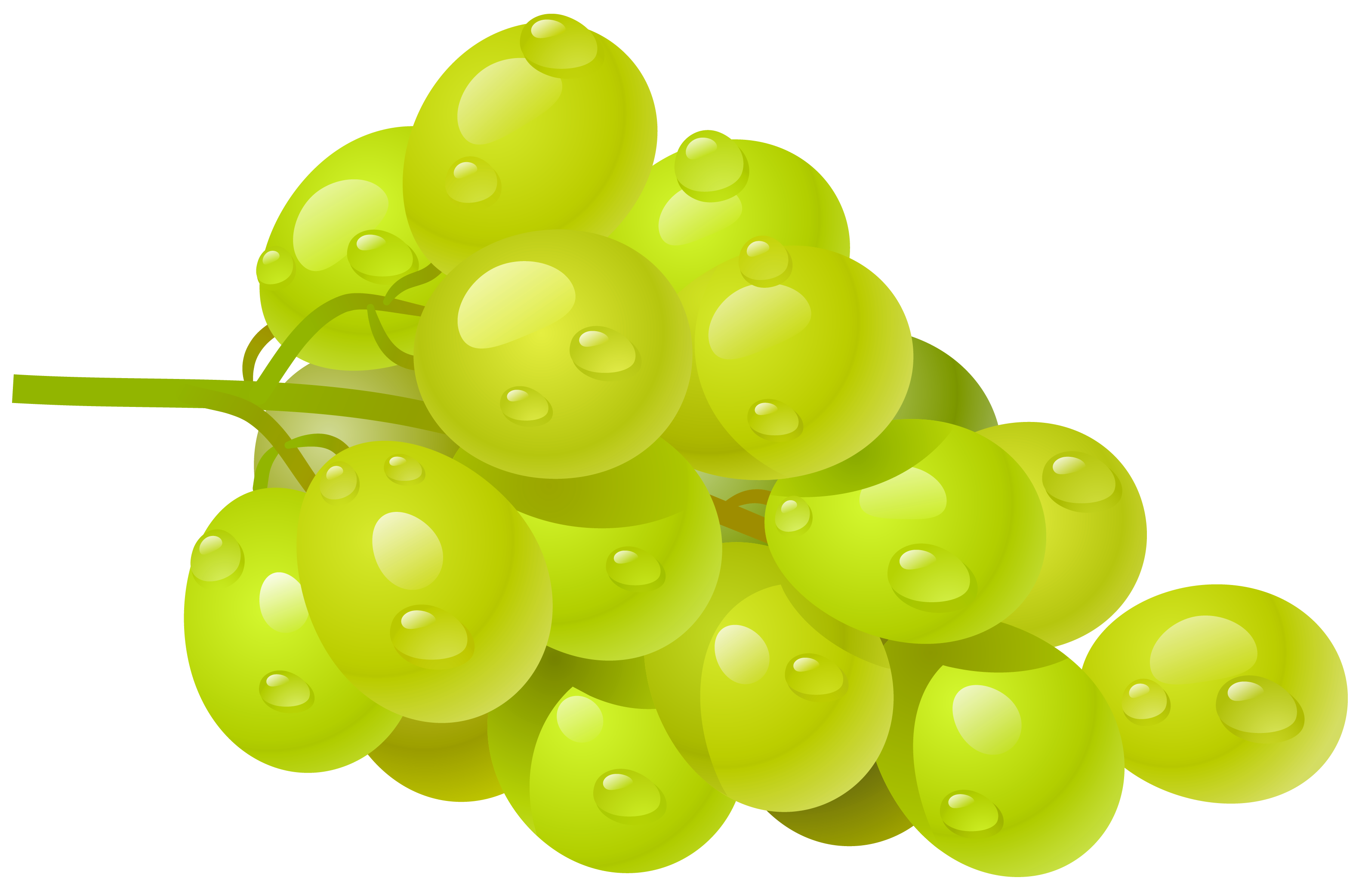 free clipart grapes black and white - photo #42