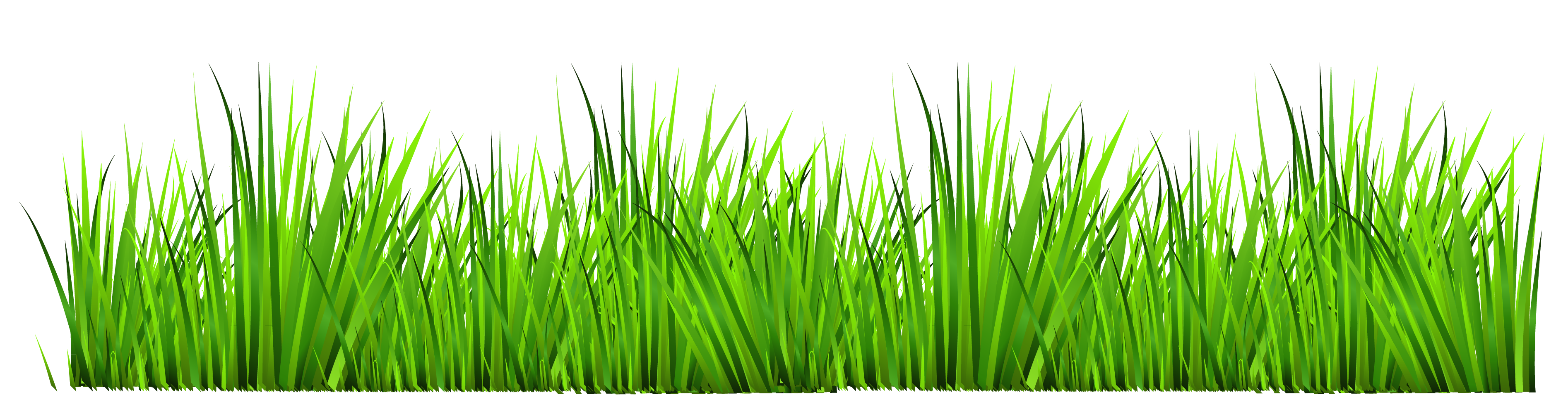 png clipart grass - photo #3