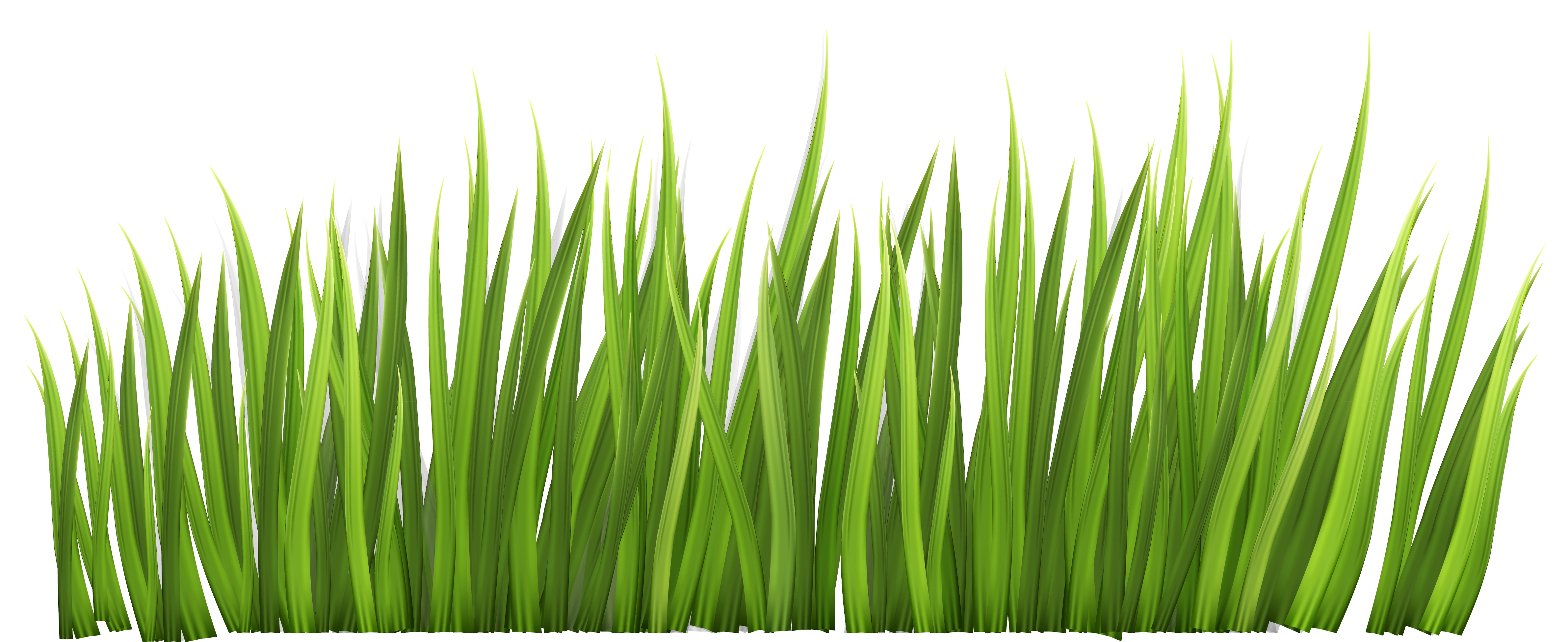 png clipart grass - photo #9