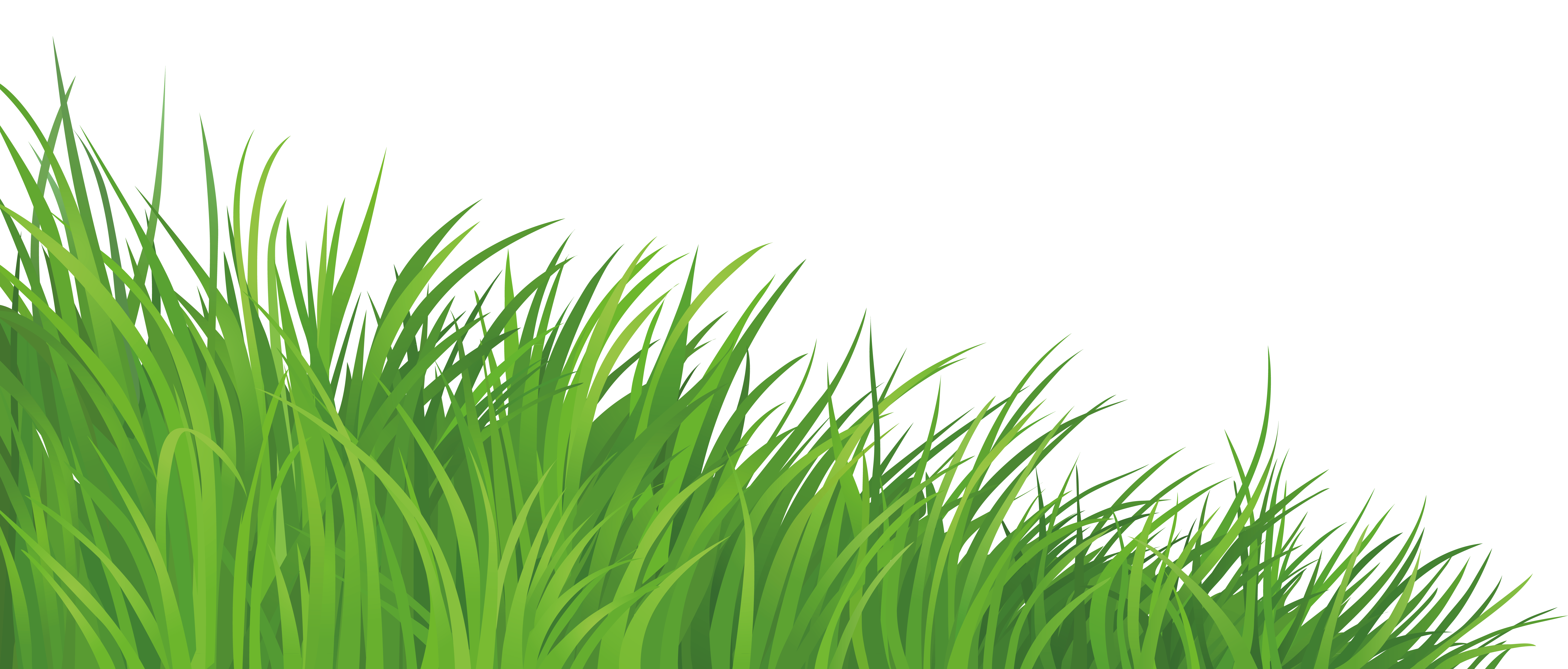 png clipart grass - photo #6