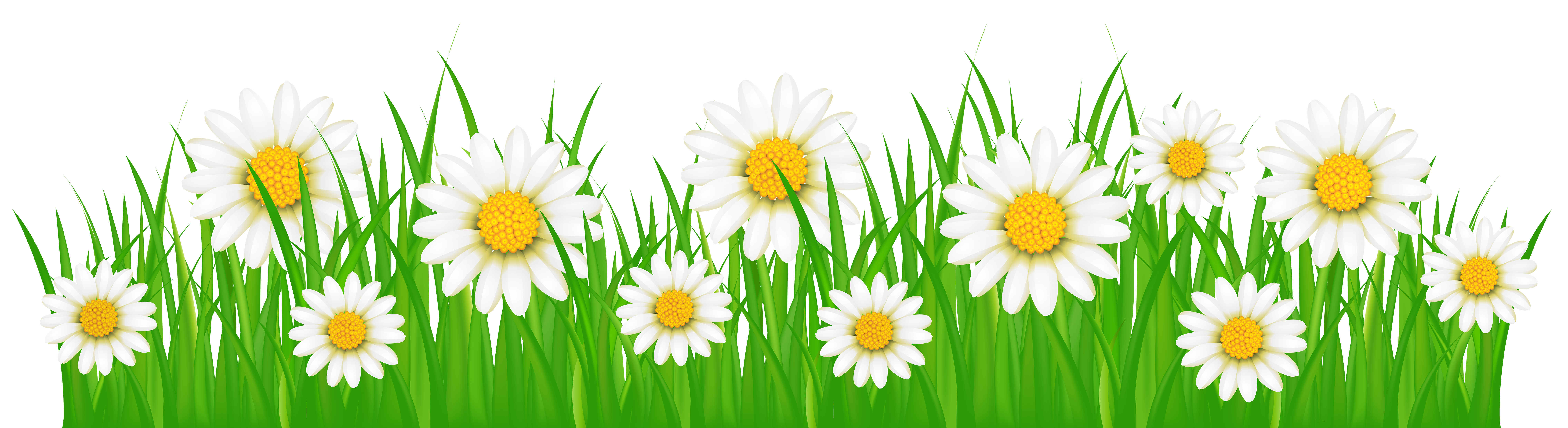 Grass_Ground_with_White_Flowers_PNG_Clip_Art_Image.png