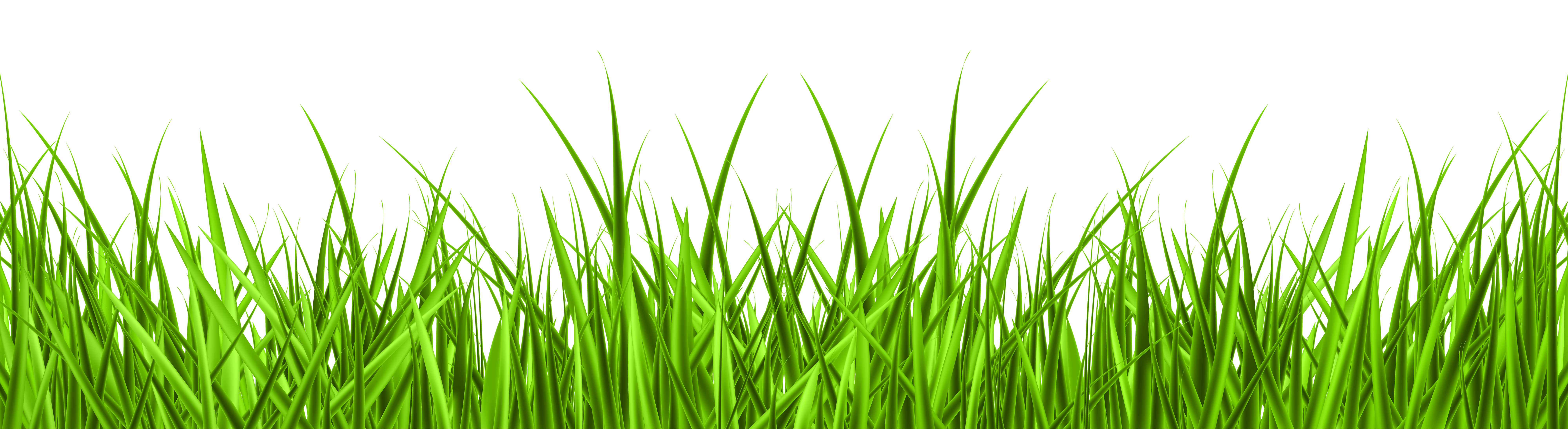 png clipart grass - photo #13