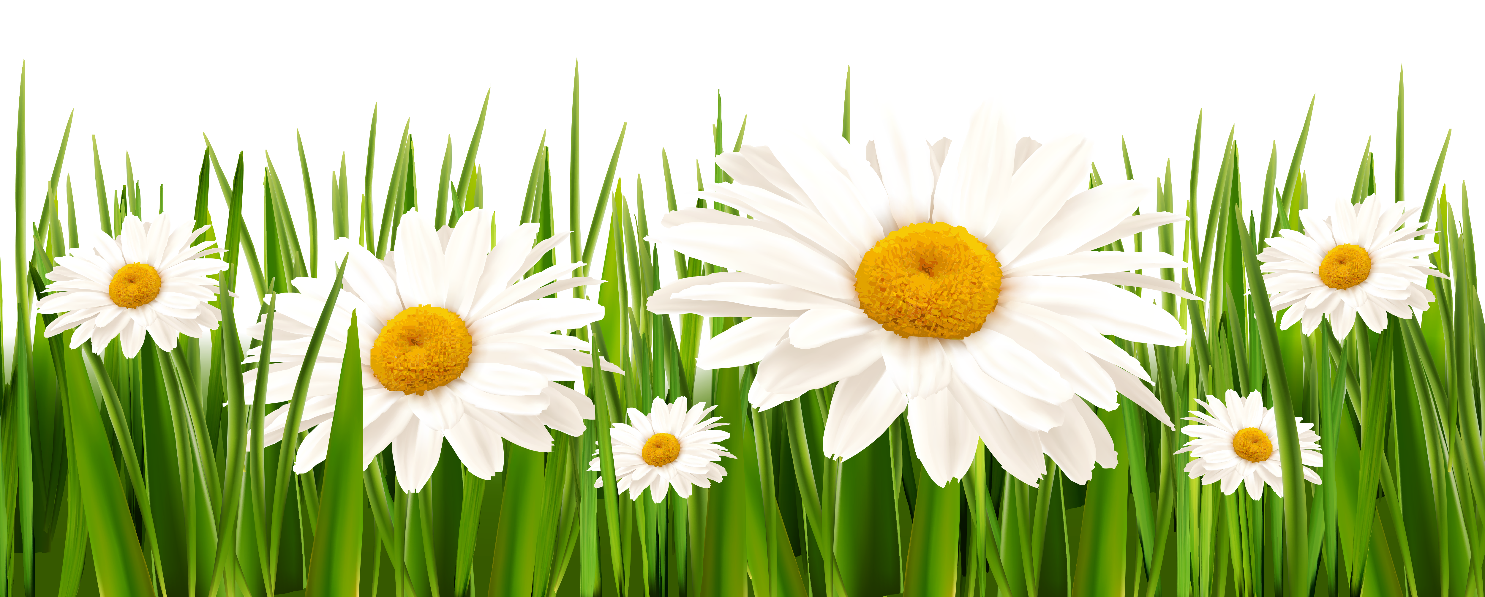 free clipart grass and flowers - photo #28
