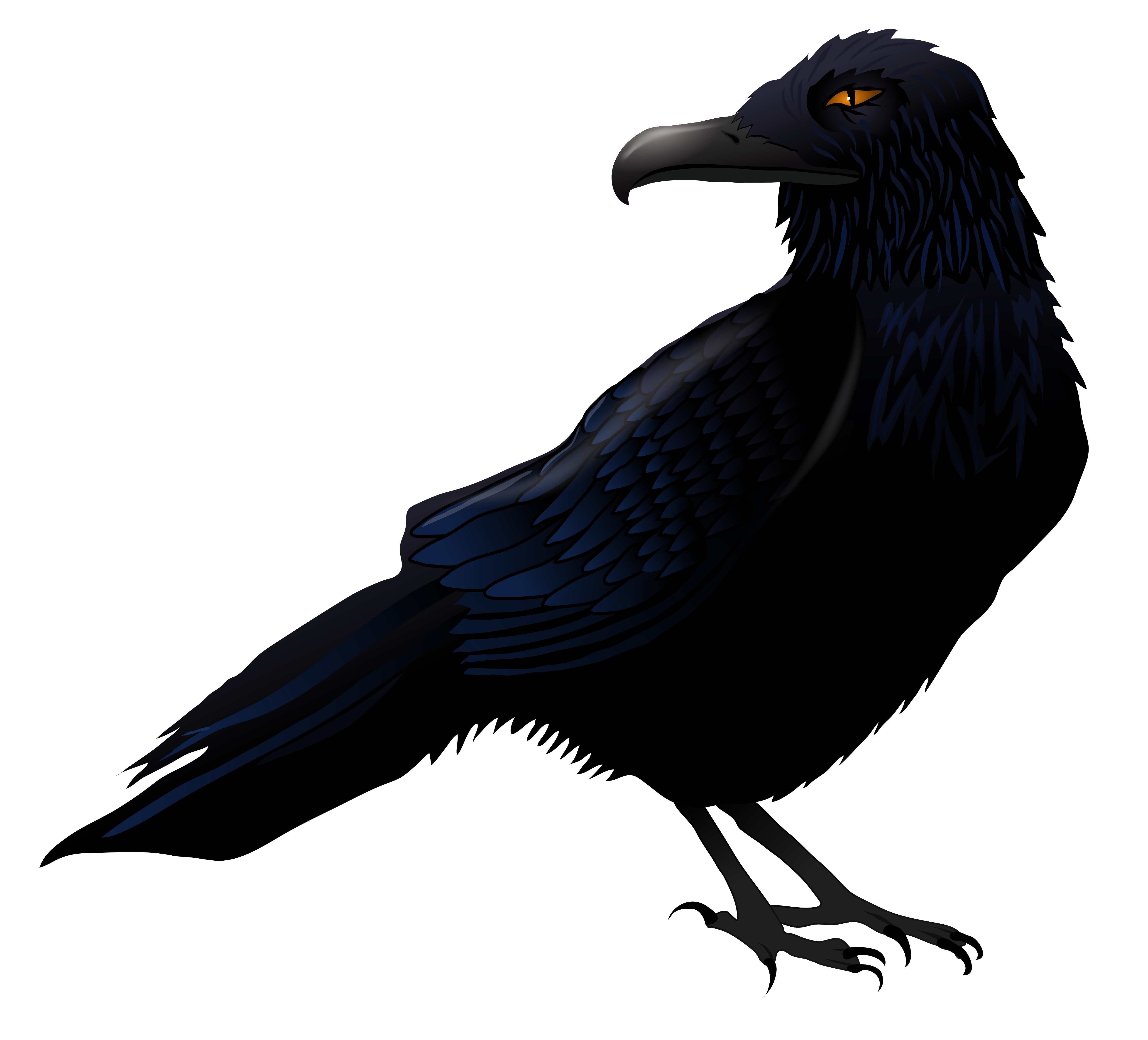 halloween raven clipart - photo #9