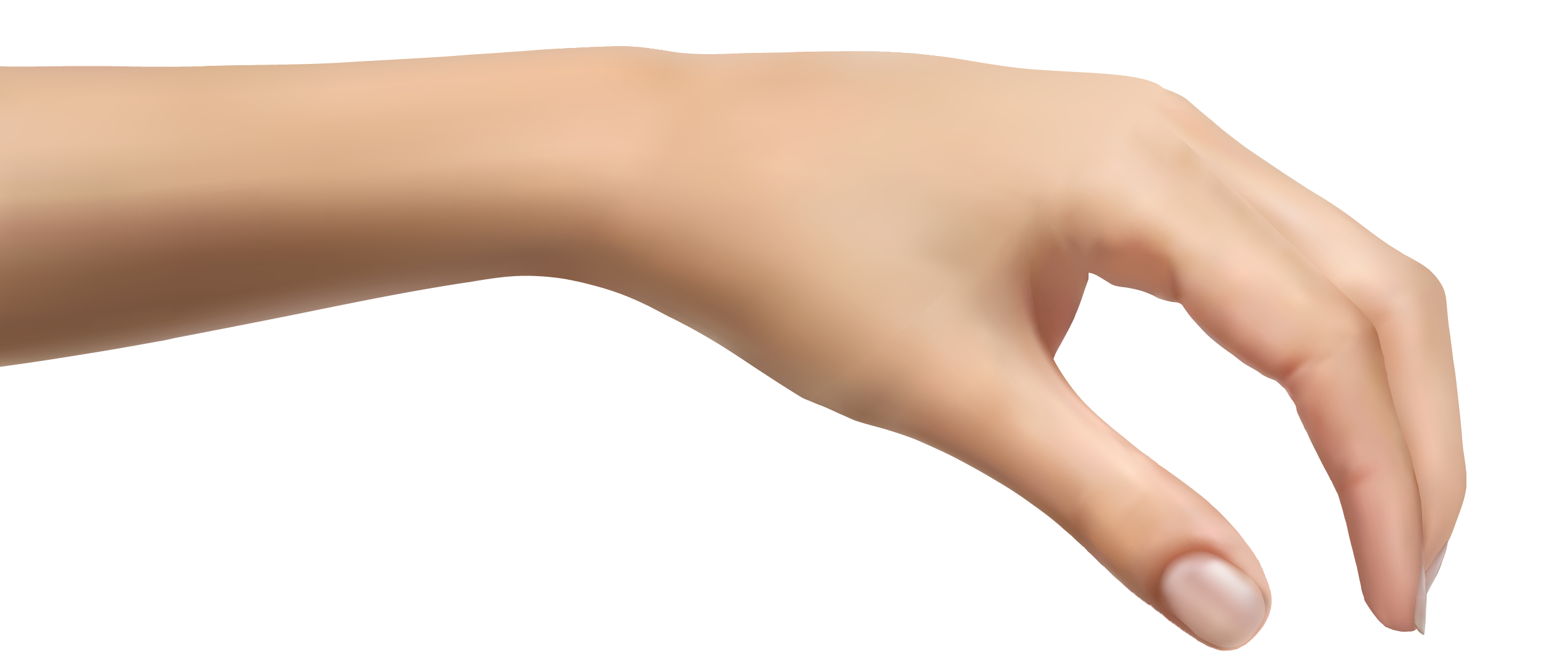 clipart of human hand - photo #12