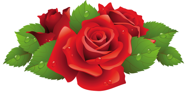 Beautiful Red Rose PNG Picture Gallery Yopriceville HighQuality