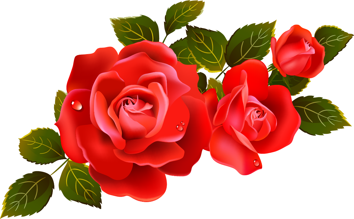 clipart noeud rose - photo #45