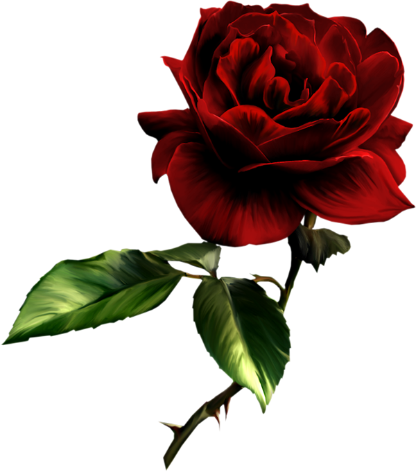 clipart red roses free - photo #39