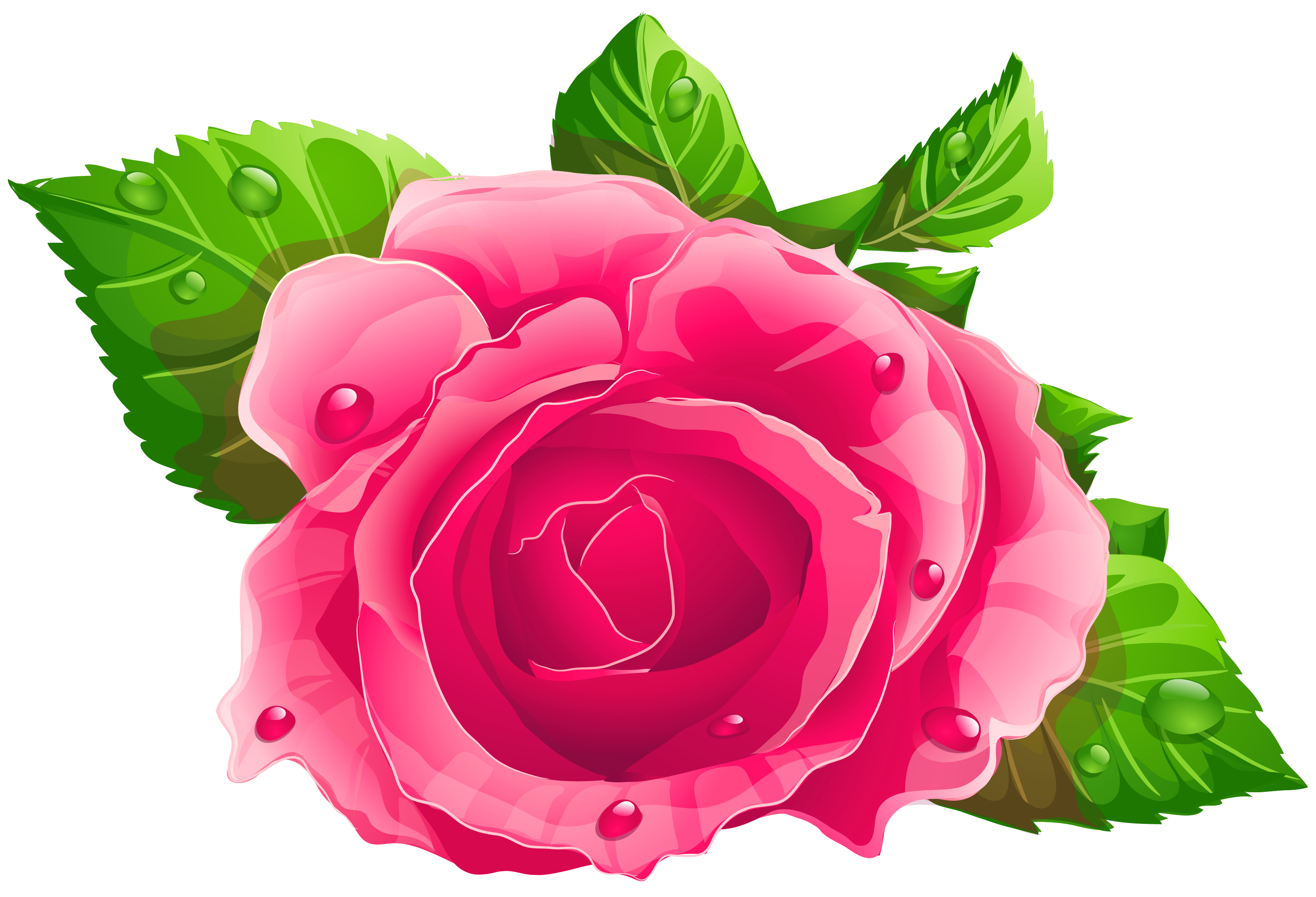 pin by solo dios basta on cute pink rose png rose png rose