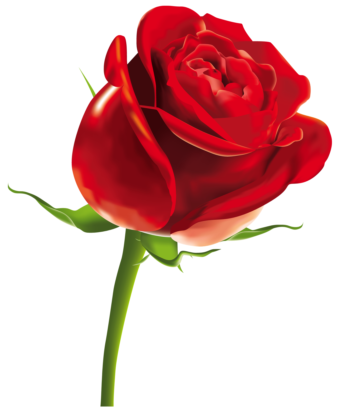 clipart rose rouge - photo #23