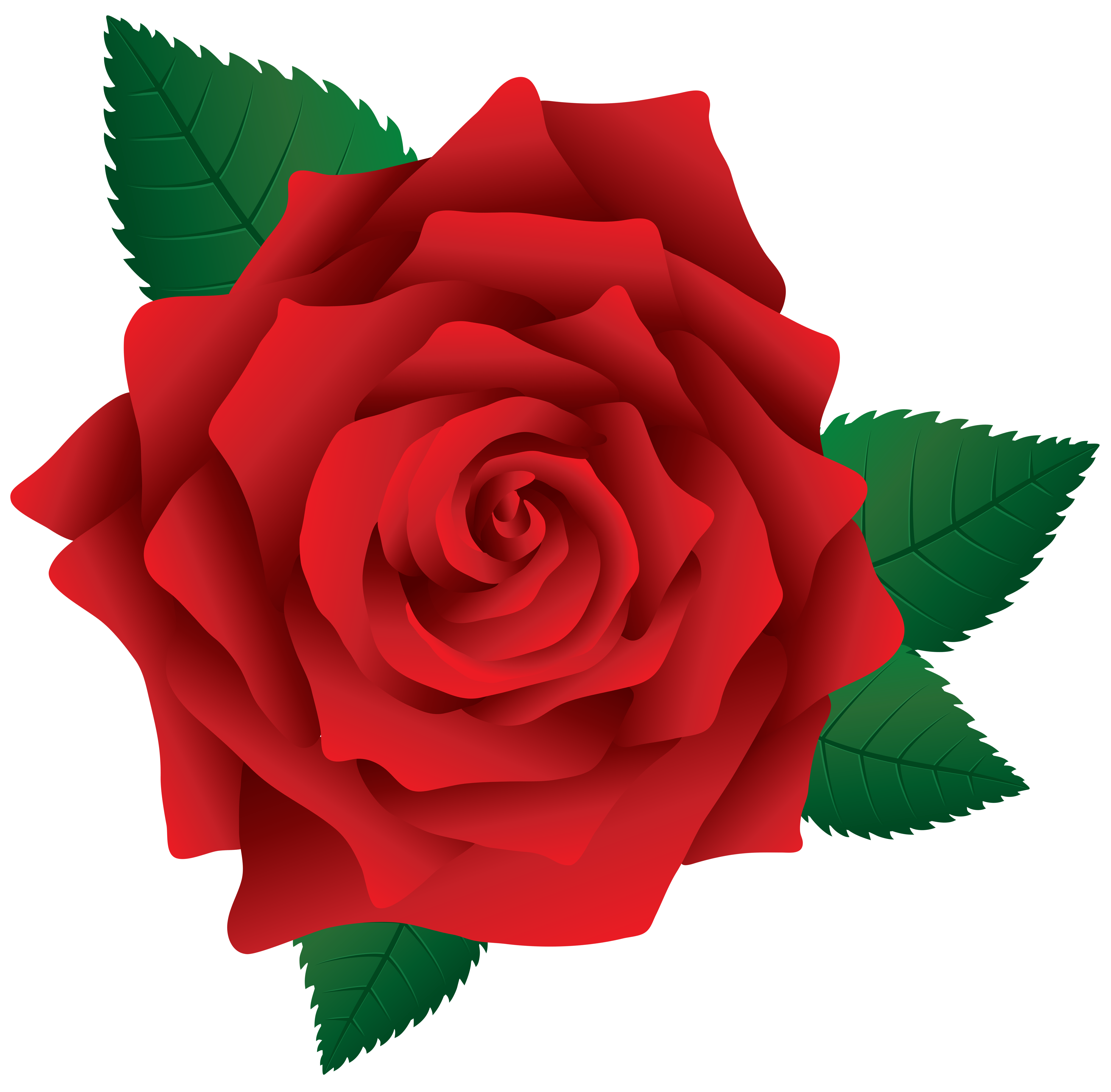 clipart images of red roses - photo #21