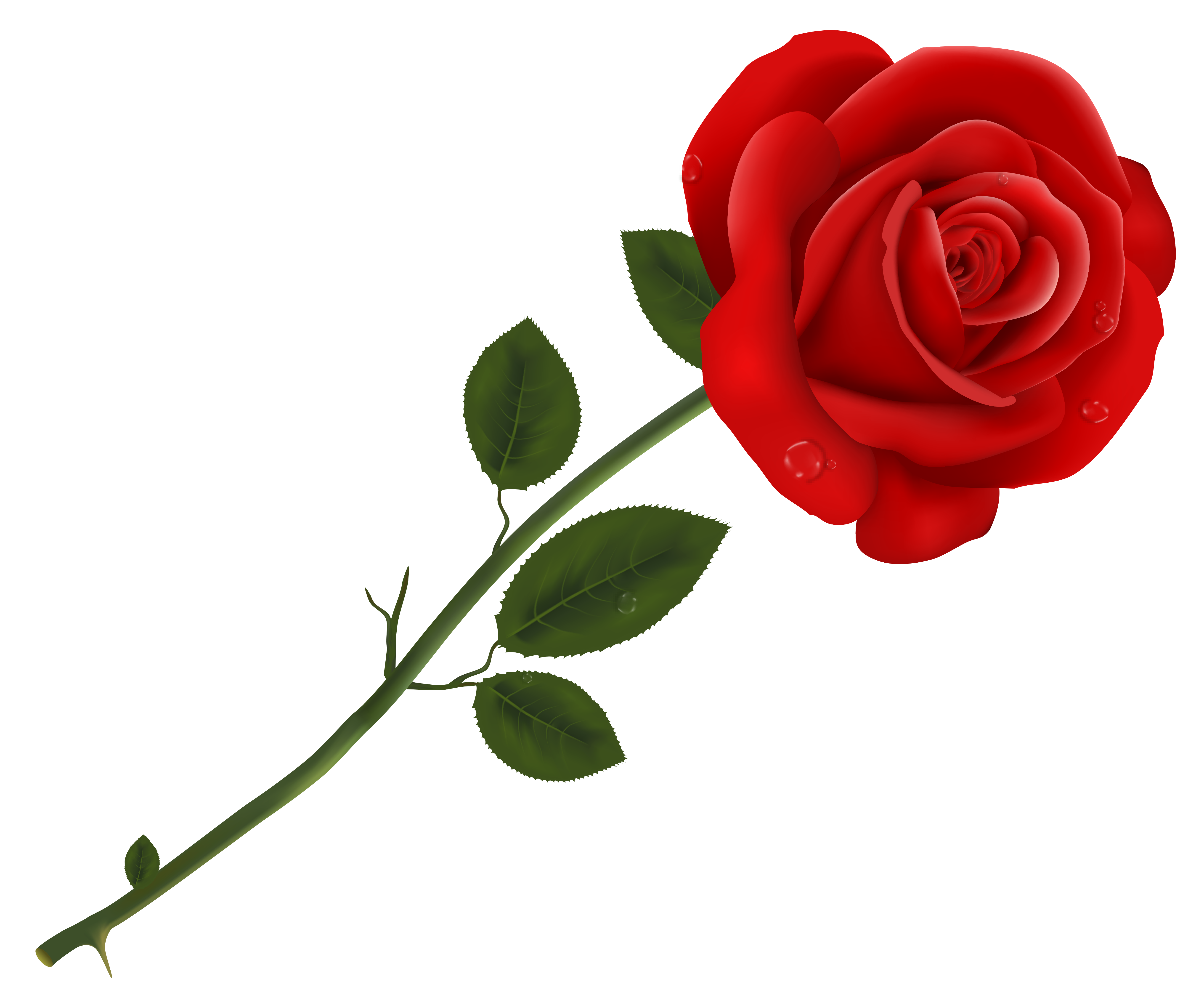 clipart images of red roses - photo #48
